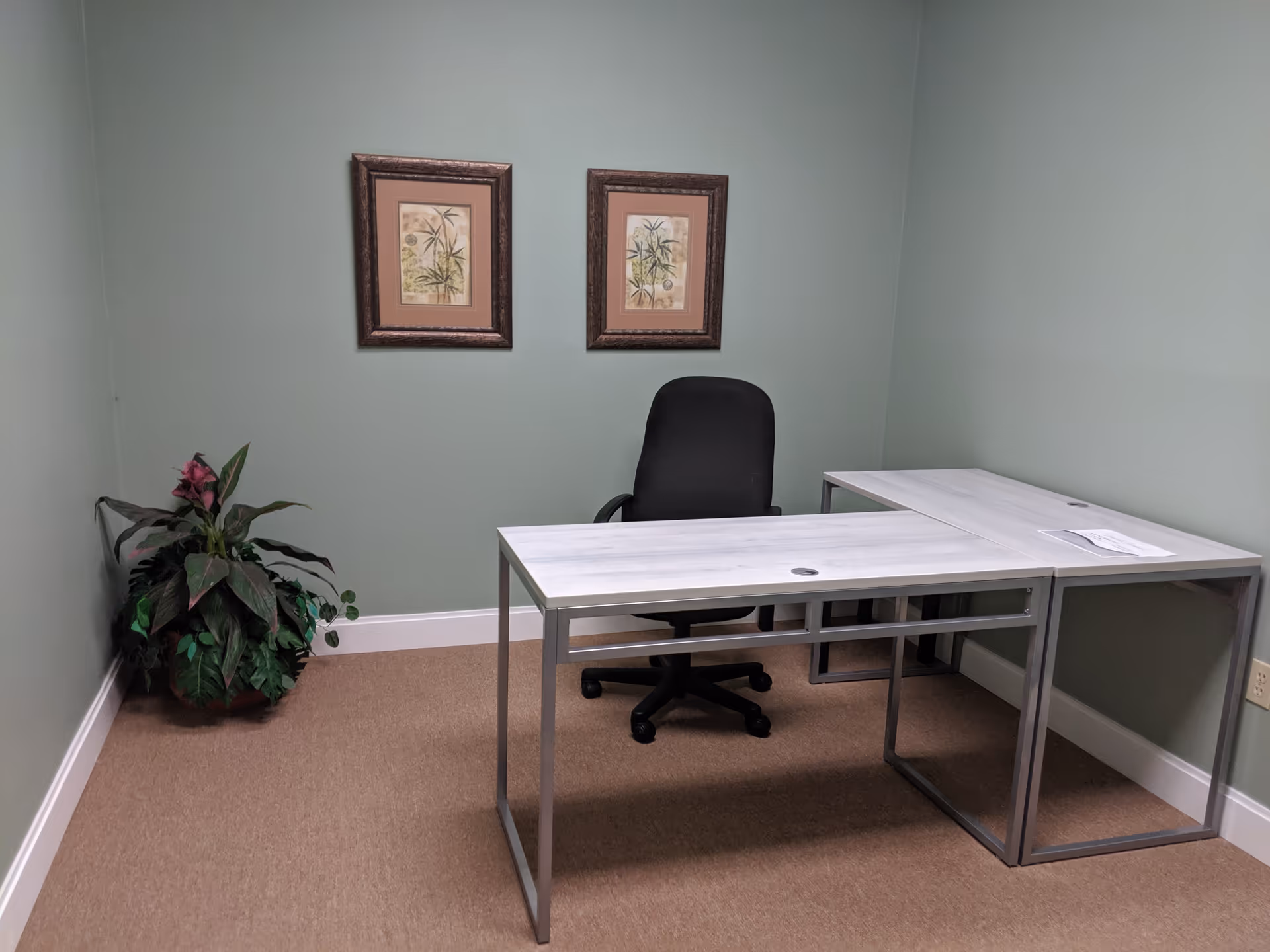 Small office interior with a metal desk, black rolling chair, plant, and framed art.