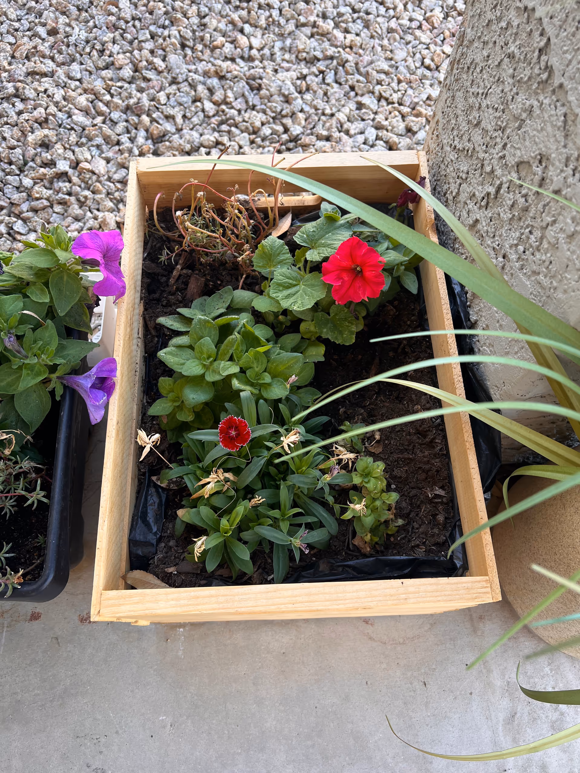 Wooden planter box with red, pink, and purple flowers beside a concrete outdoor surface.