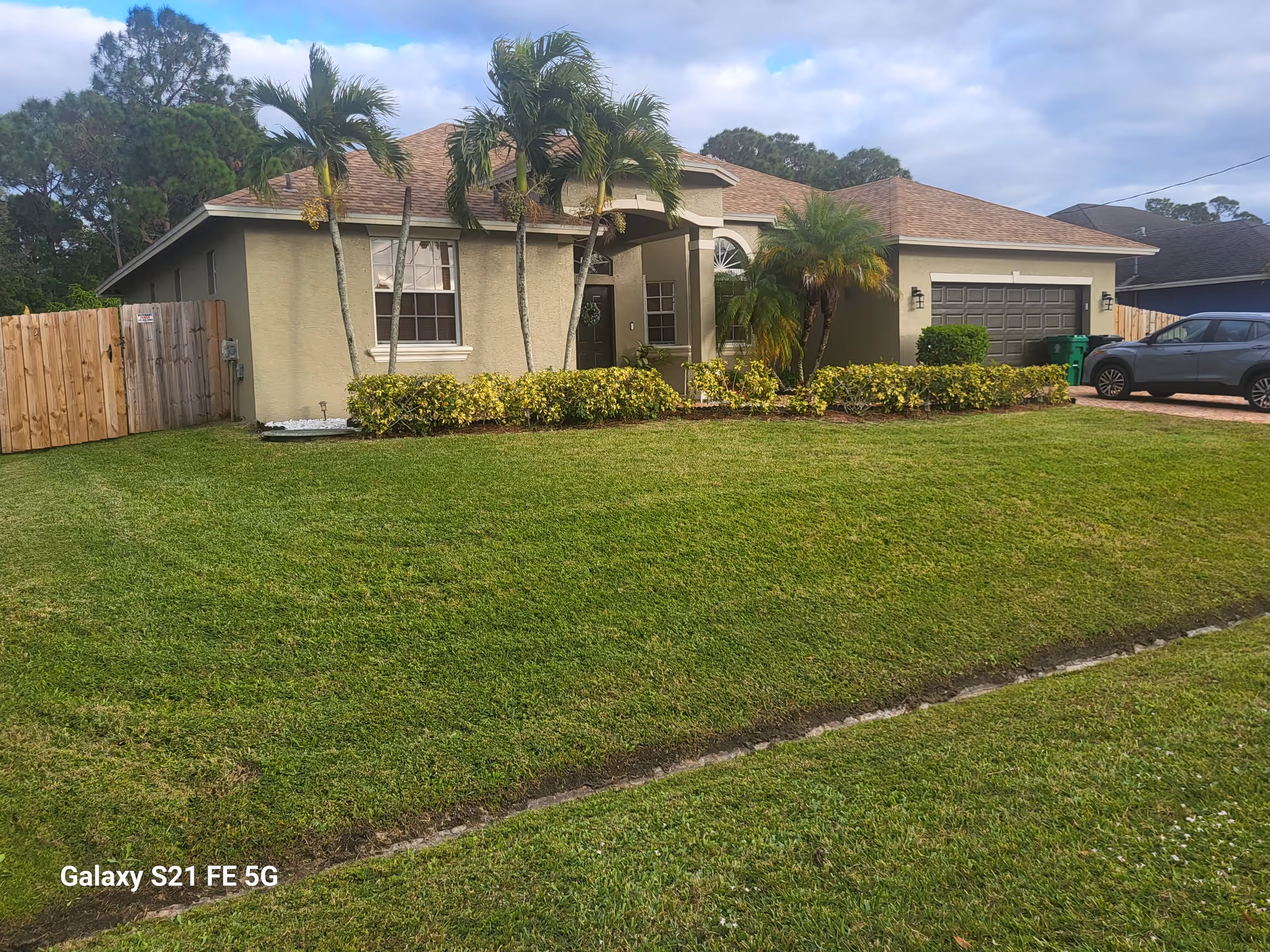Front yard and beige single-story house with palm trees and manicured shrubs.