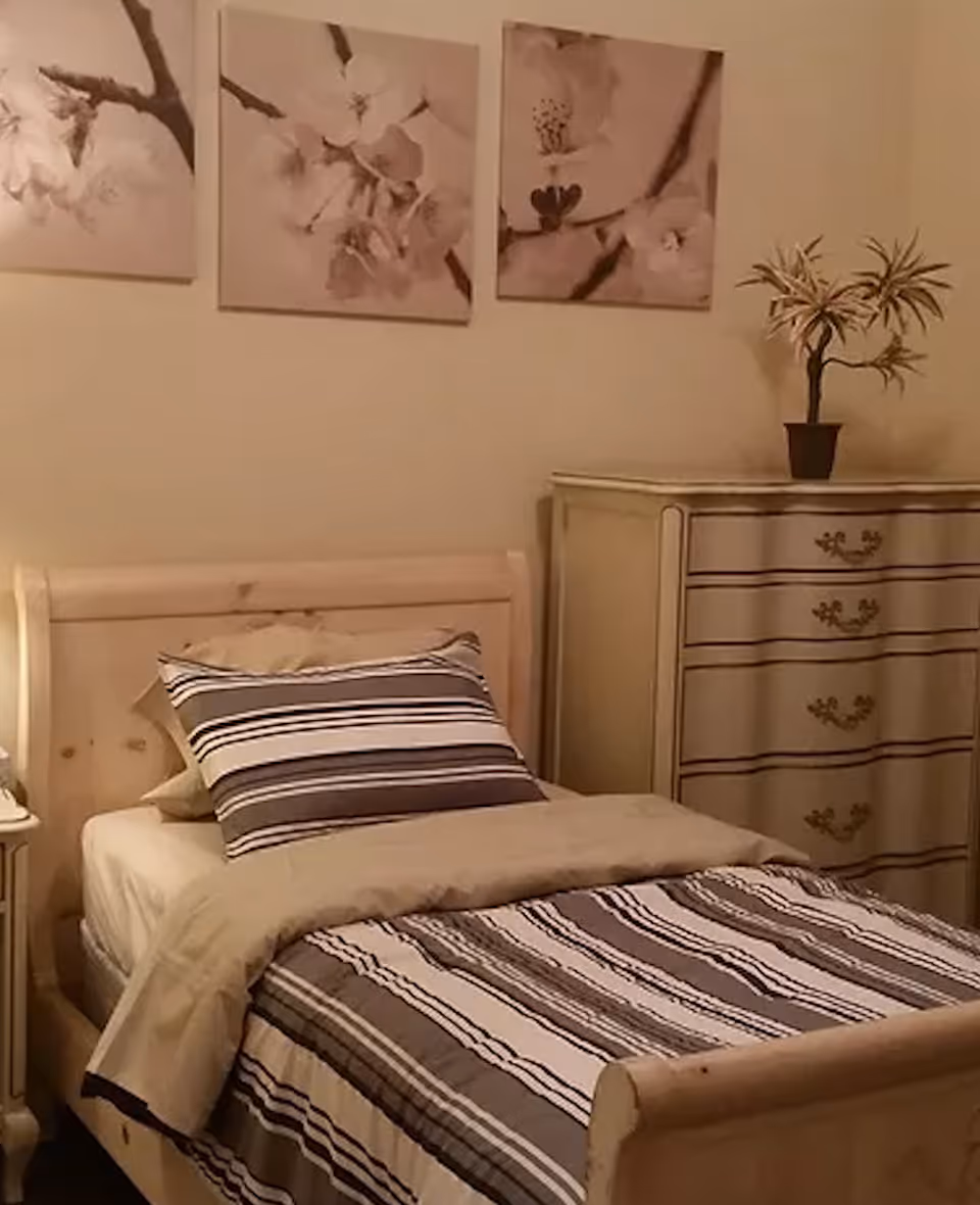 A neatly made single bed with striped bedding in a cozy bedroom featuring a dresser, potted plant, and floral wall art.