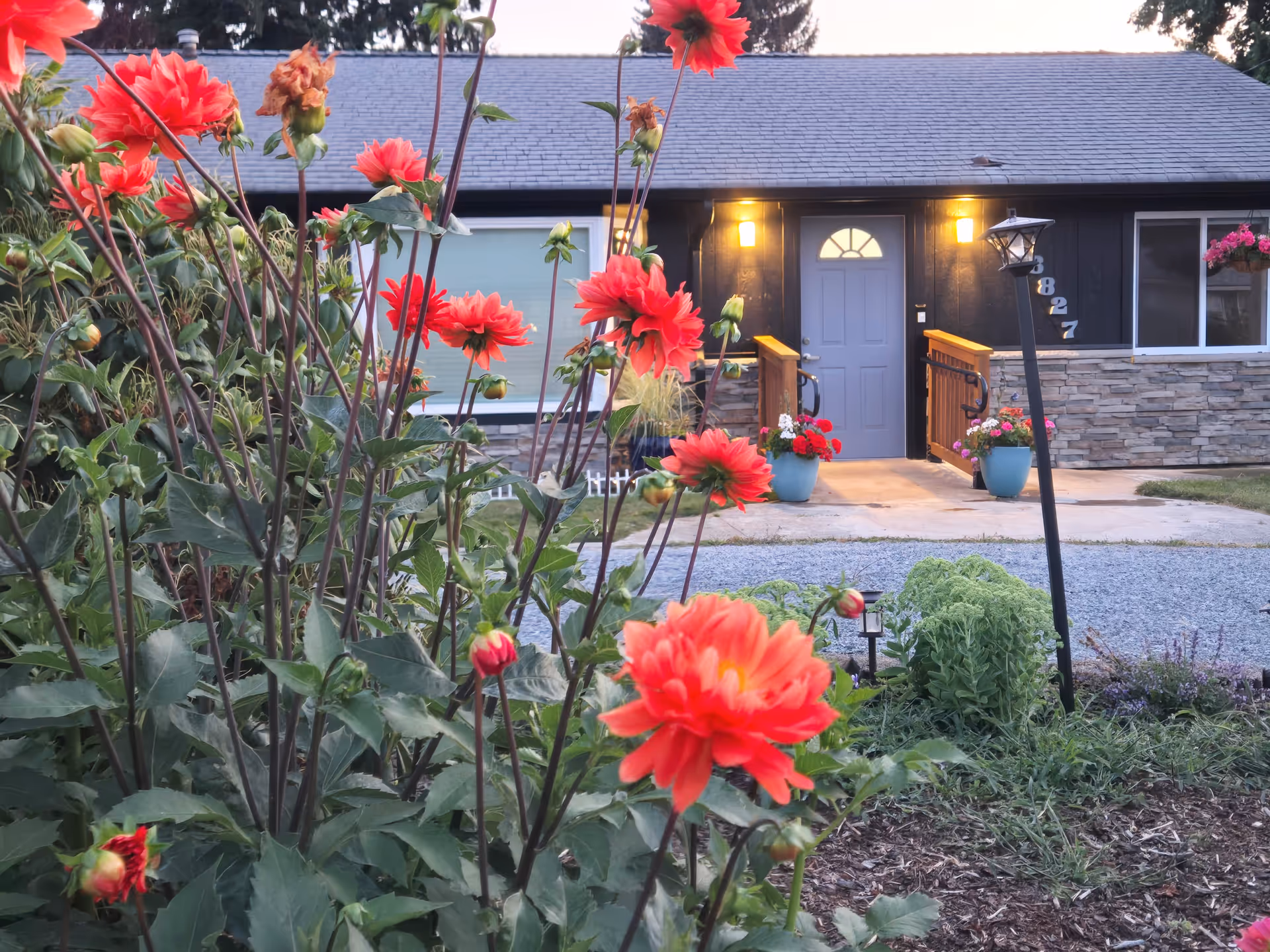 Front entrance of a dark blue facility with stone veneer and potted flowers.