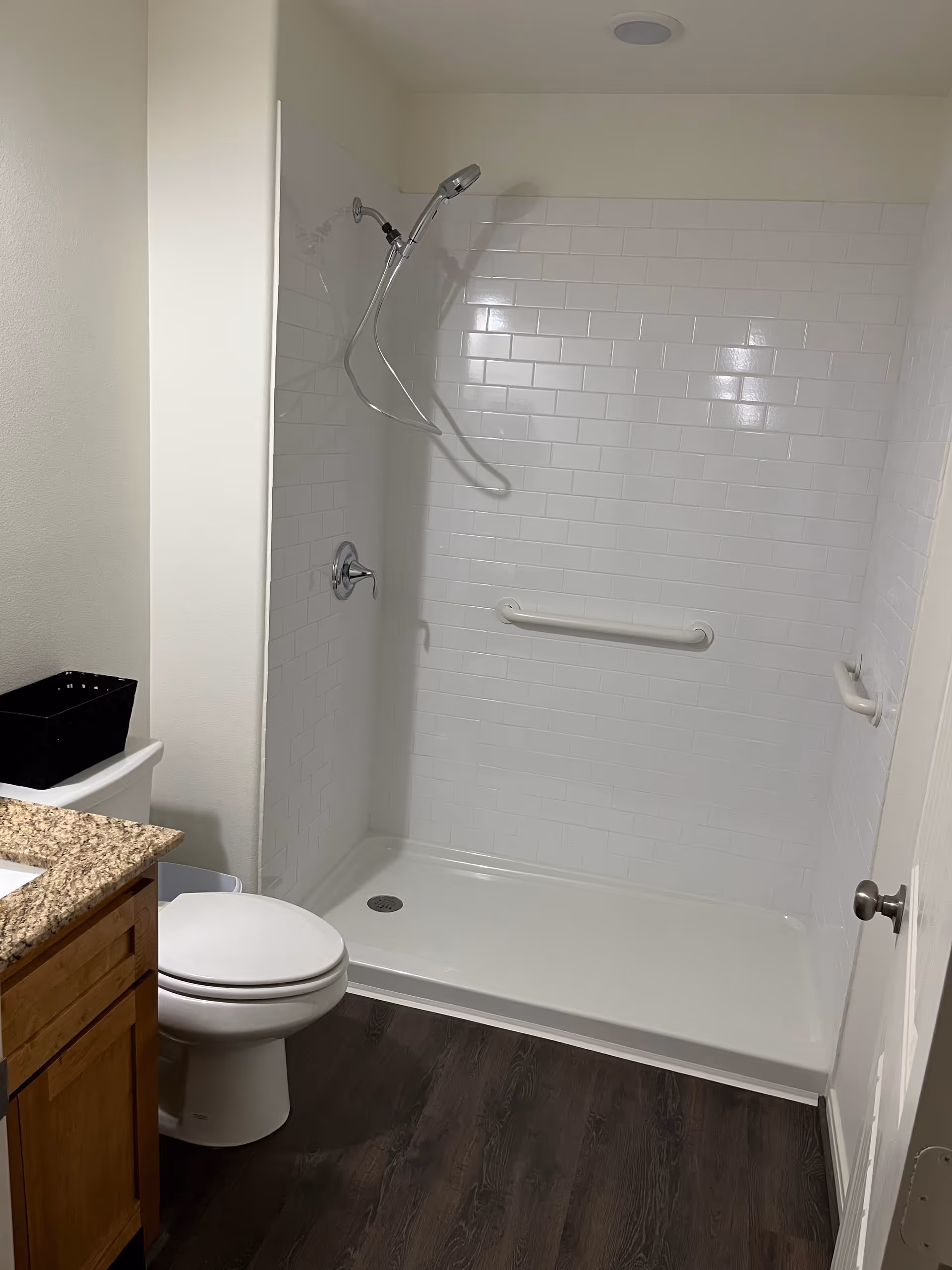 Accessible bathroom with walk-in shower, grab bars, toilet, and granite counter.