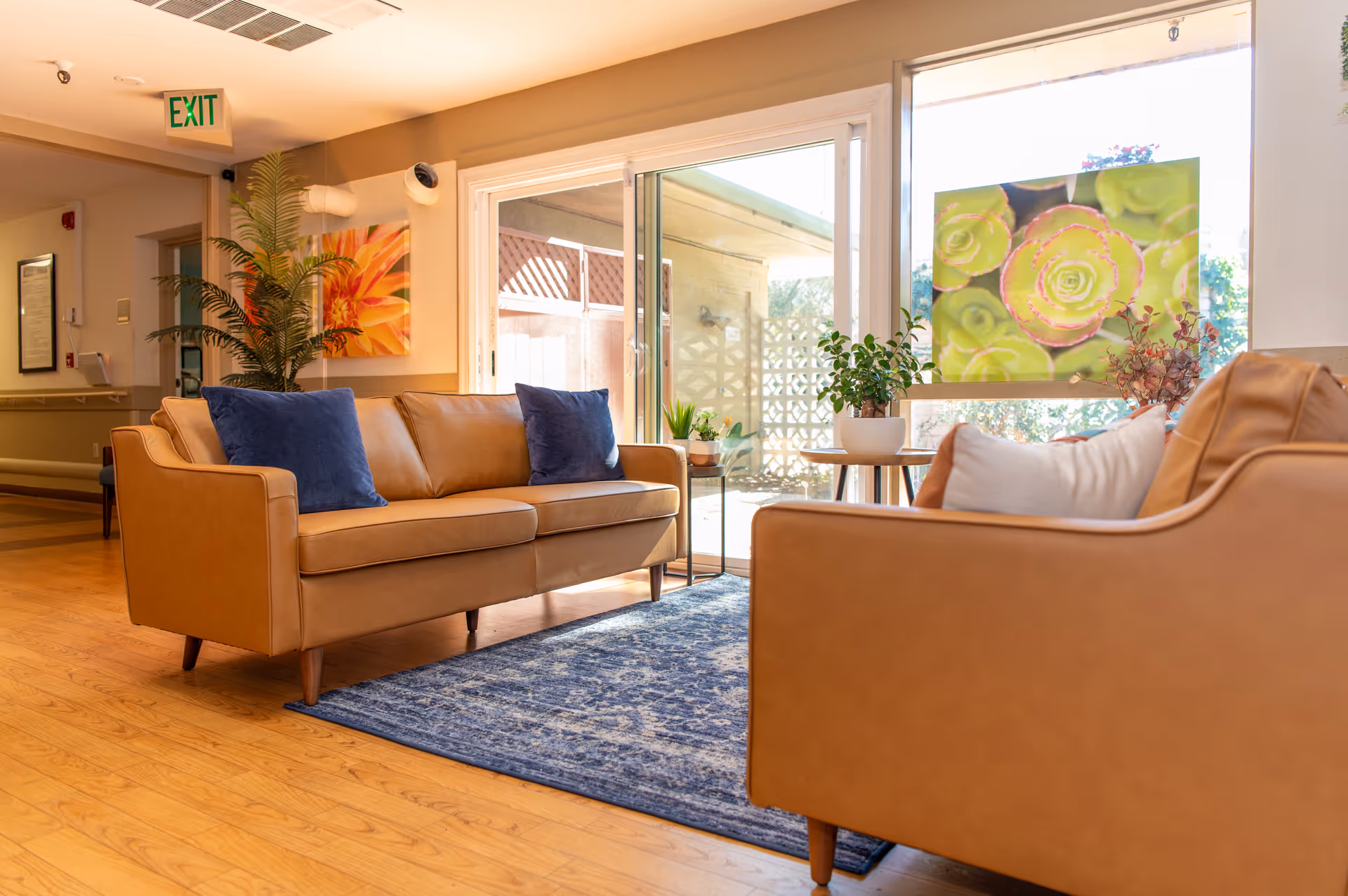 Bright lounge area with tan sofas, blue cushions, plants, and large glass doors.