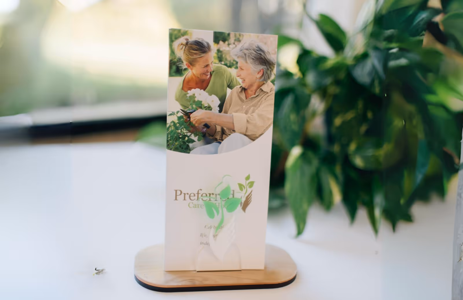 Close-up of a brochure on a table with greenery in a bright interior.
