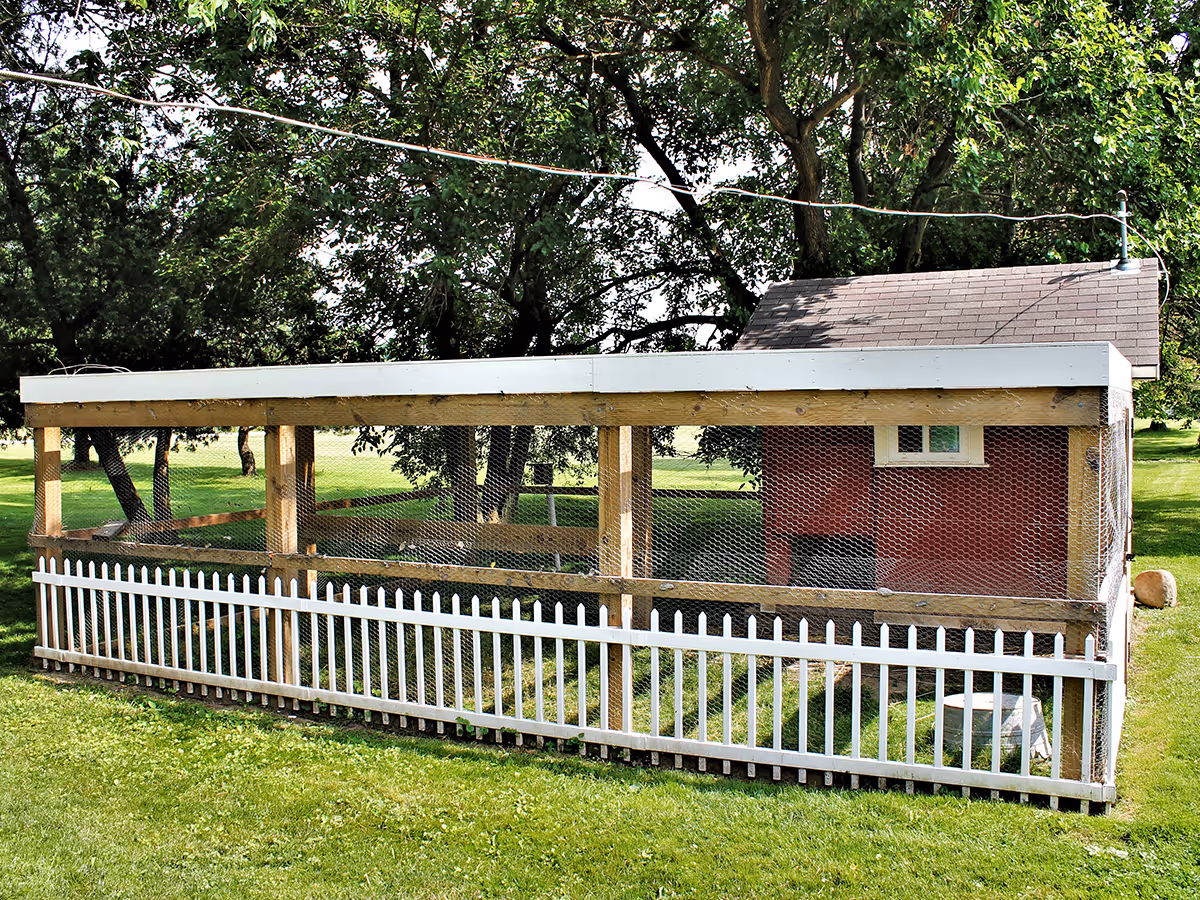 Small red shed inside a fenced chicken coop on a grassy yard.
