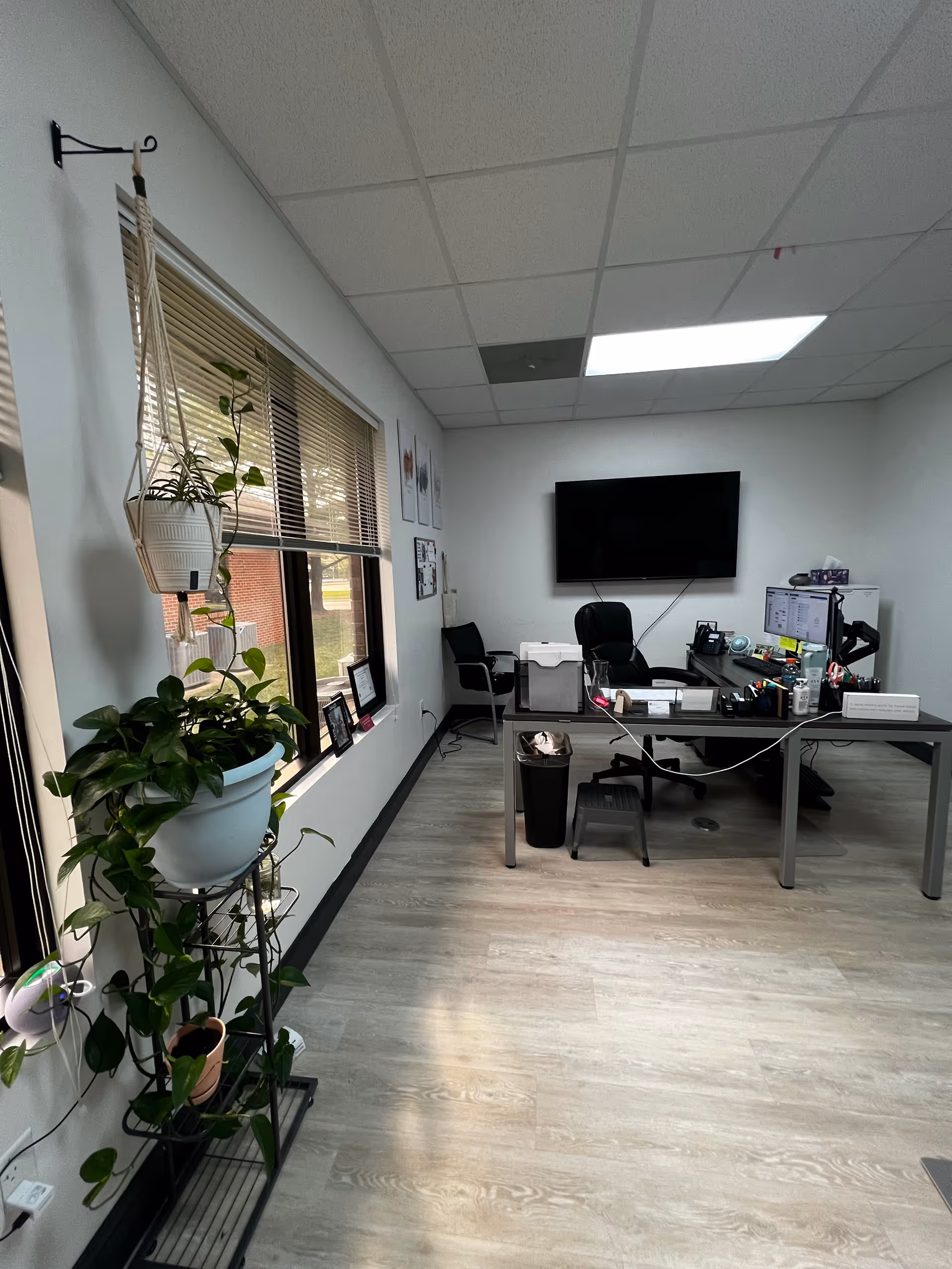 Office workspace with desk, computer, TV, chairs, and potted plants by a window.