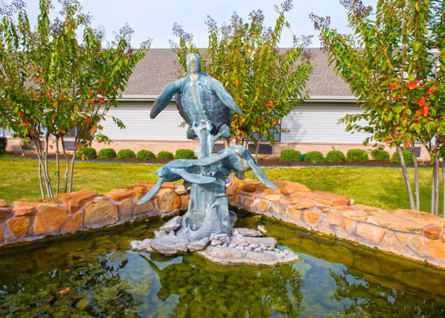 Bronze turtle sculptures form a fountain in a pond with a landscaped lawn and a single-story building behind it.