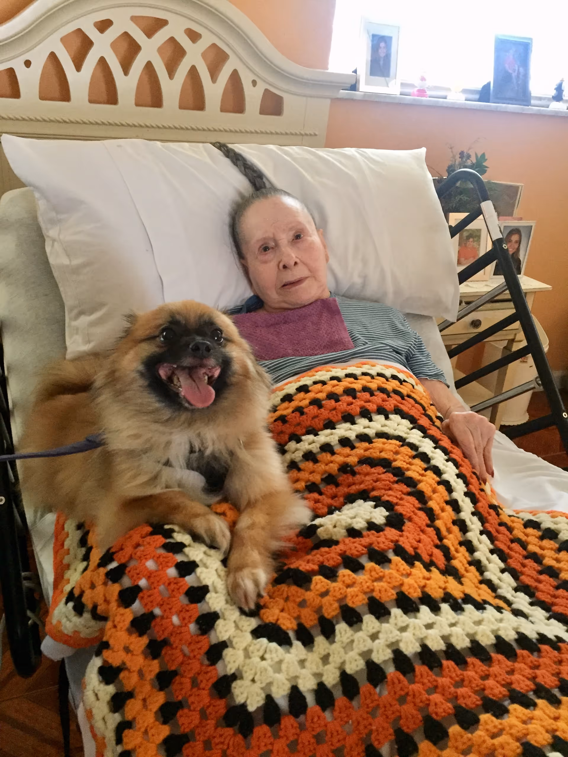 An elderly woman lying in a bed covered with a colorful crocheted blanket in shades of orange, black, and cream. A small fluffy dog with a happy expression is sitting on the blanket near her. The room has a peach-colored wall and a window sill with framed photos and small decorative items. A walker is positioned next to the bed.