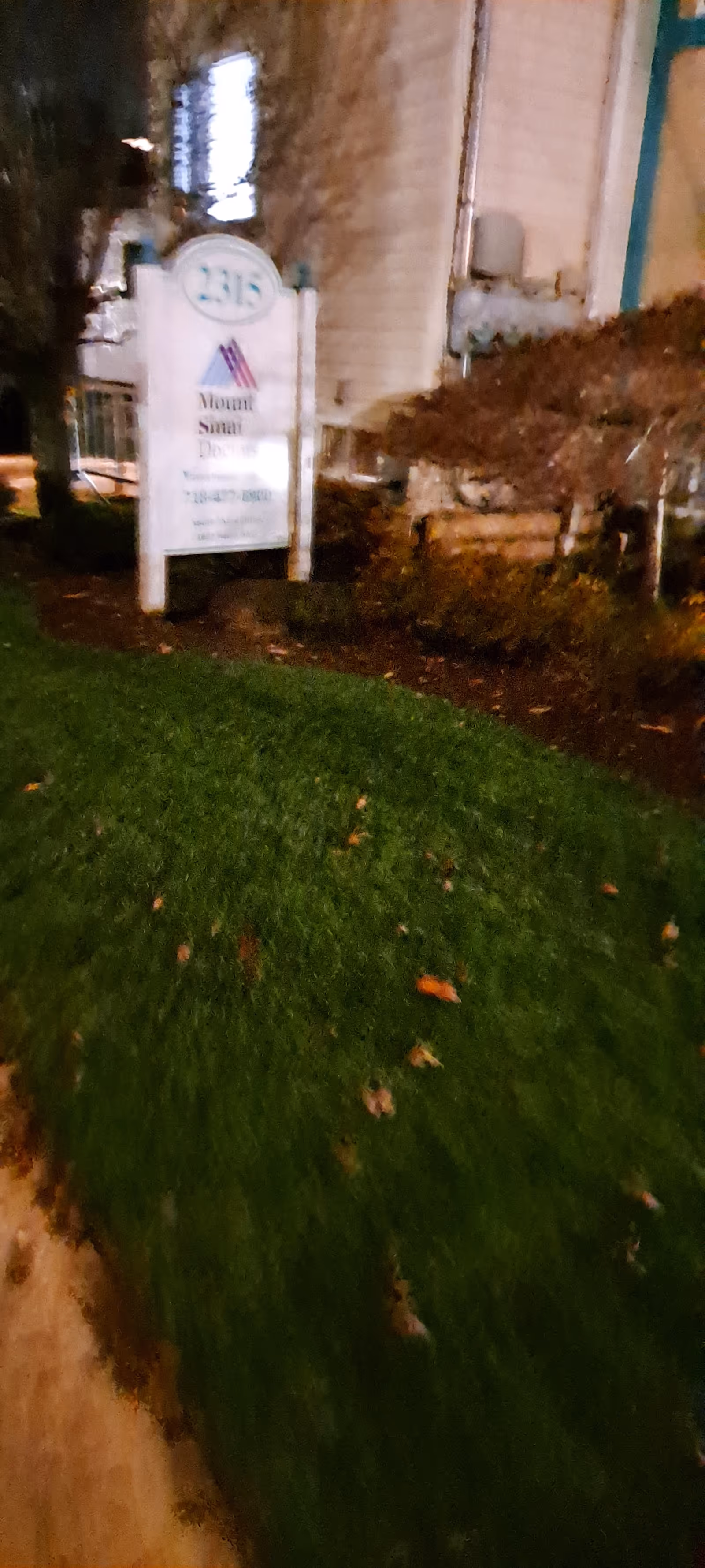 Nighttime exterior view of Mount Sinai Doctors-Victory Blvd., Primary Care sign beside shrubs.