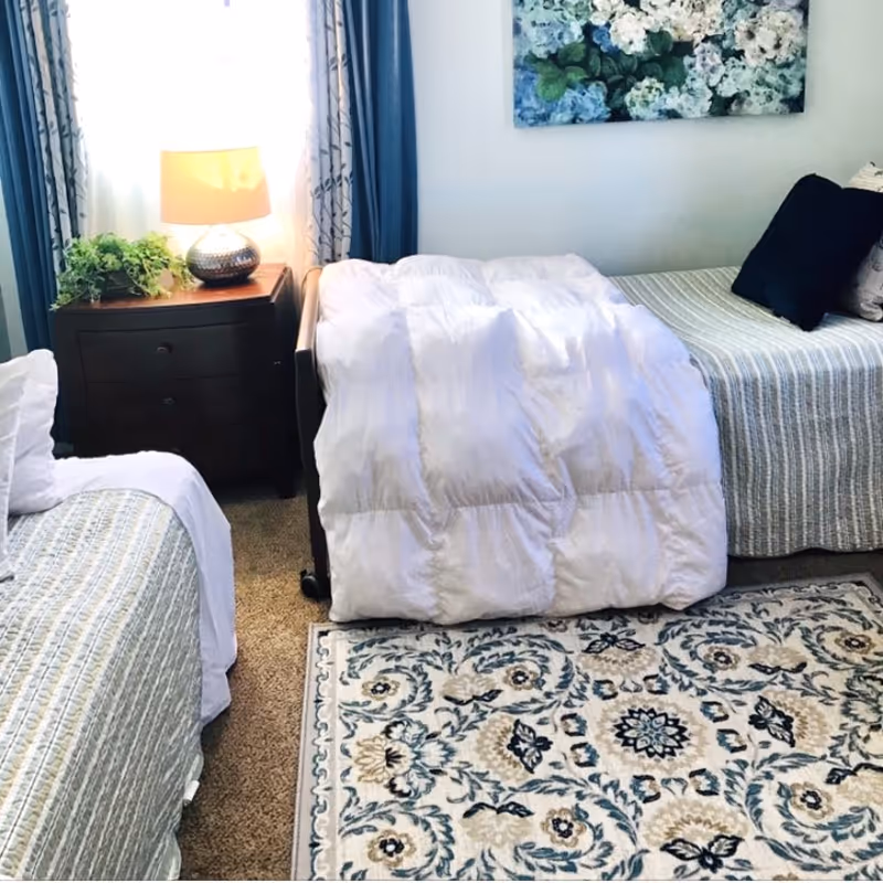 Two beds in a bright bedroom with a nightstand, lamp, plant, and floral rug.