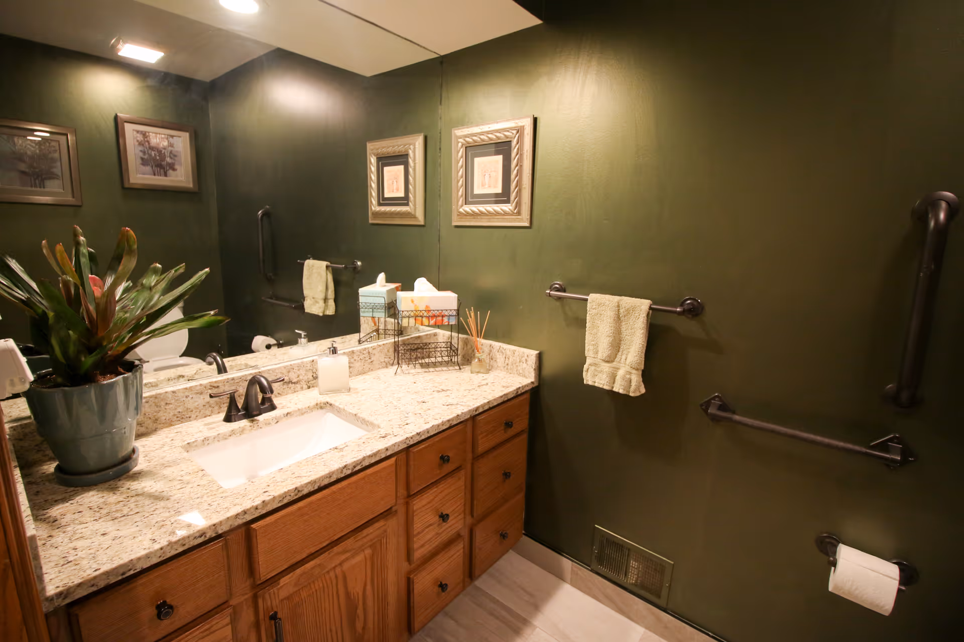 Bathroom with green walls, a granite countertop with a sink, wooden cabinets, a potted plant, a soap dispenser, tissue boxes, and framed pictures on the wall. There are grab bars and a towel rack with a green towel, and a toilet paper holder with a roll of toilet paper.