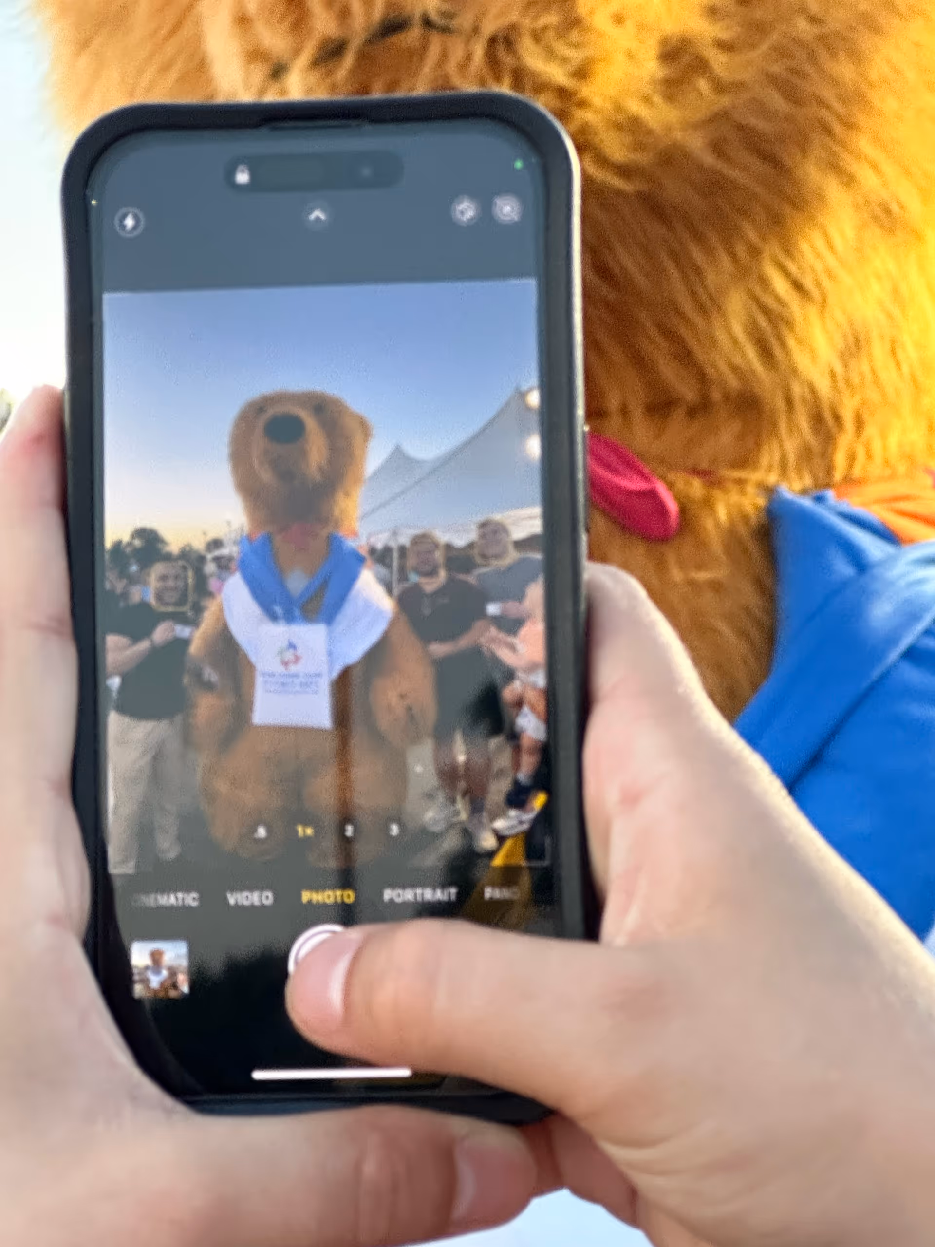 Person holds smartphone capturing a bear mascot and crowd outdoors at a Penn Home Care event.