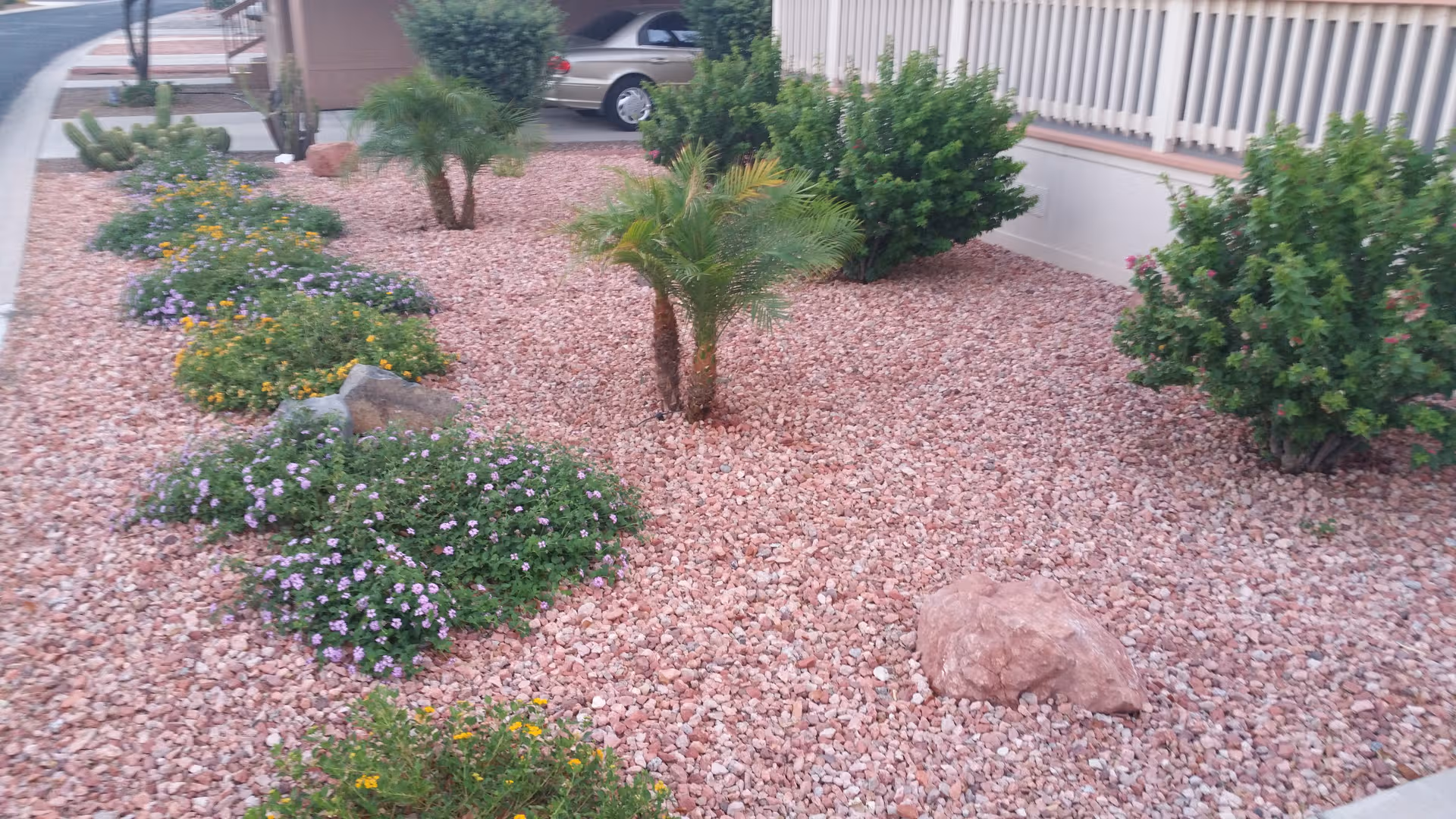 Front exterior landscape with pink gravel, shrubs, and small palm trees near the building.