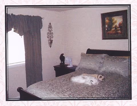 A cozy bedroom with a gray quilted bed, curtains, wall art, and a cat resting.