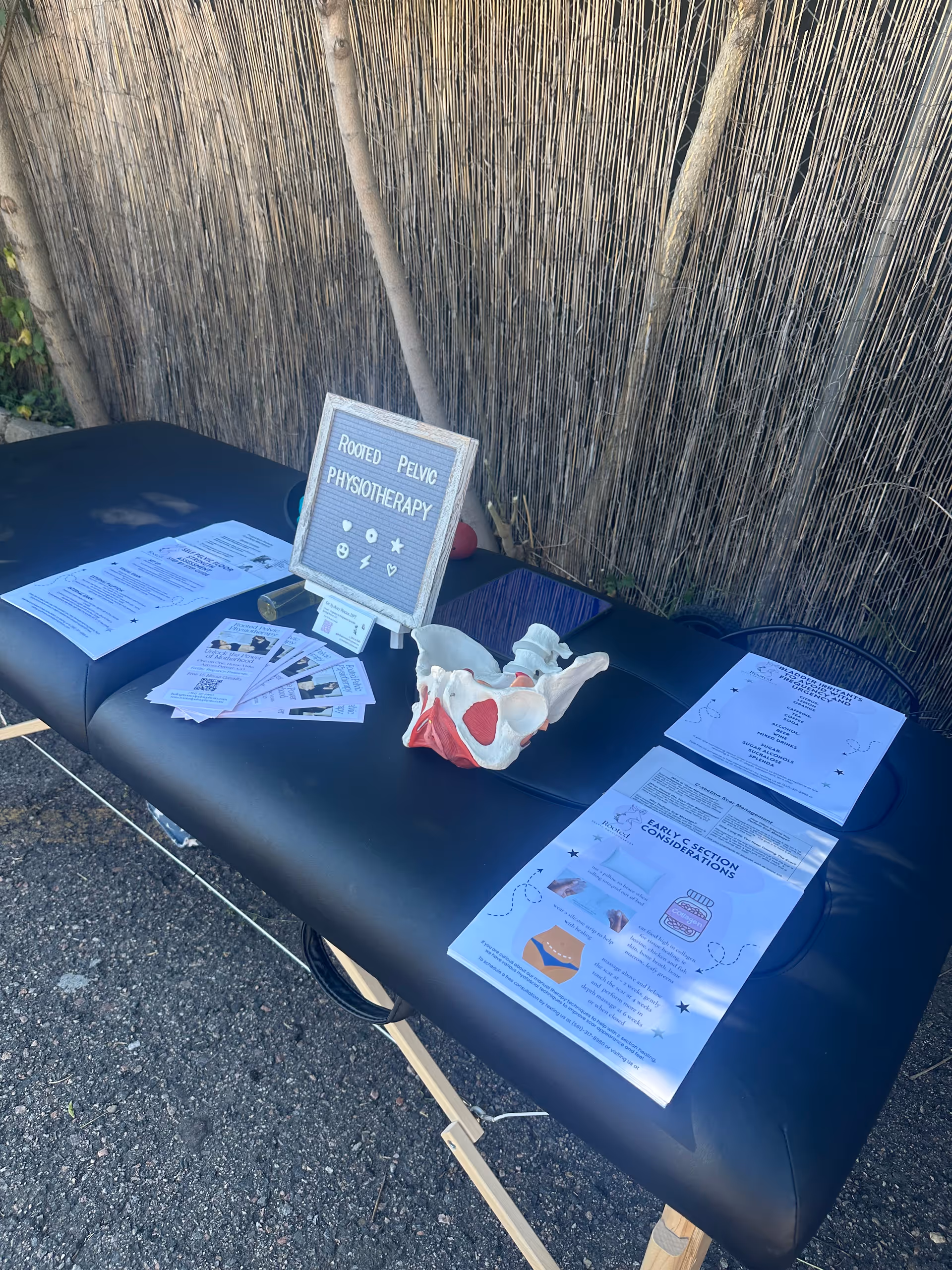 Outdoor table displays pelvic physiotherapy brochures and a pelvis model at an outreach booth.