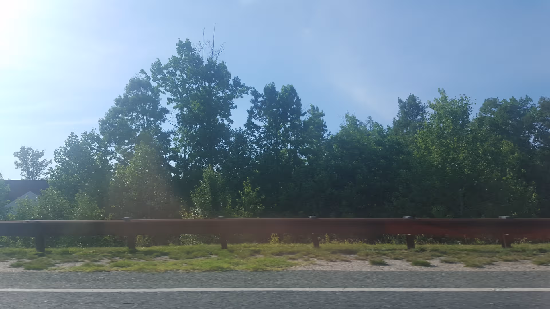 Exterior roadside view with guardrail and dense trees against a blue sky.