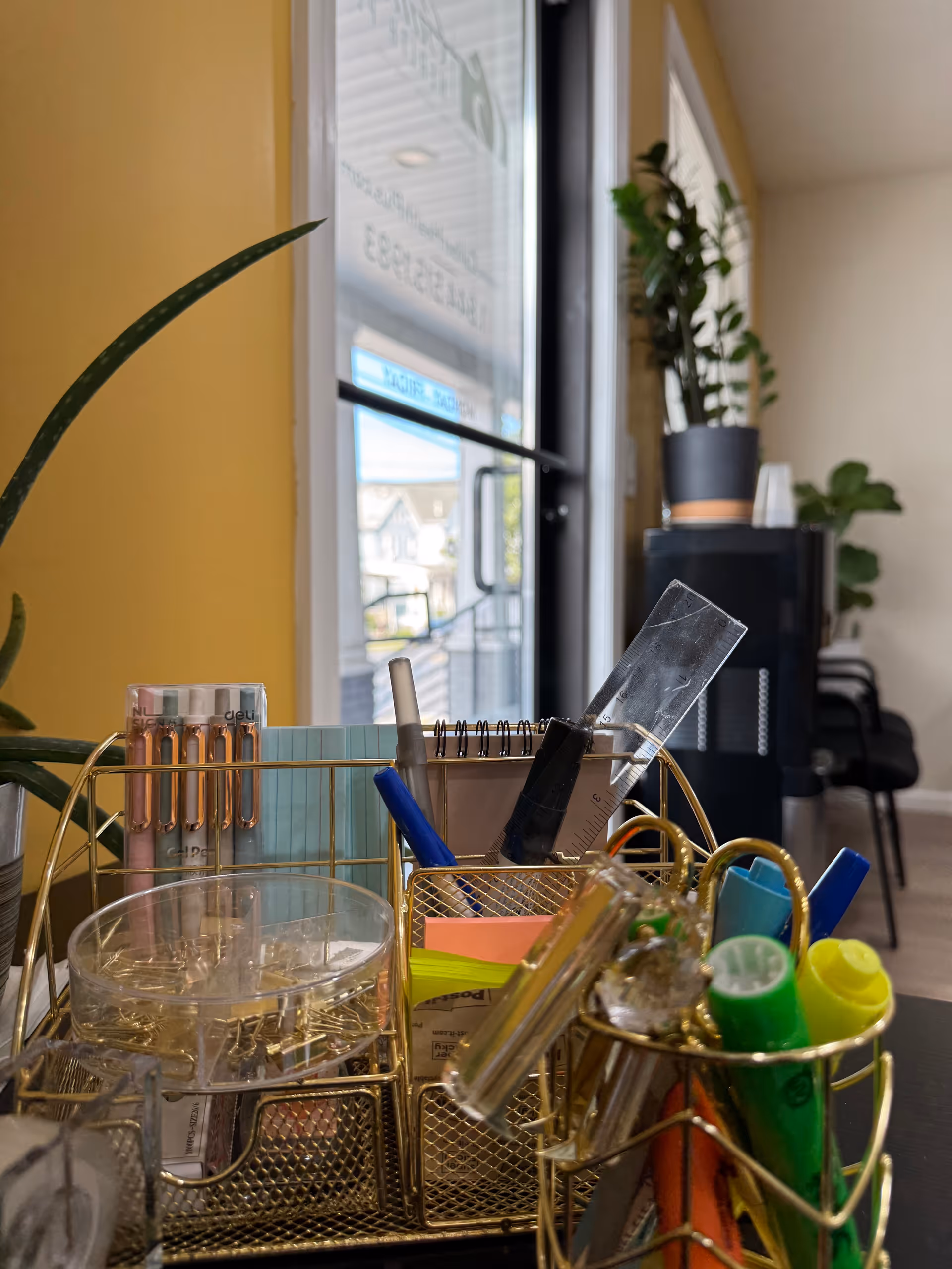 Indoor reception area with a metal desk organizer, pens, markers, office supplies near window and plants.