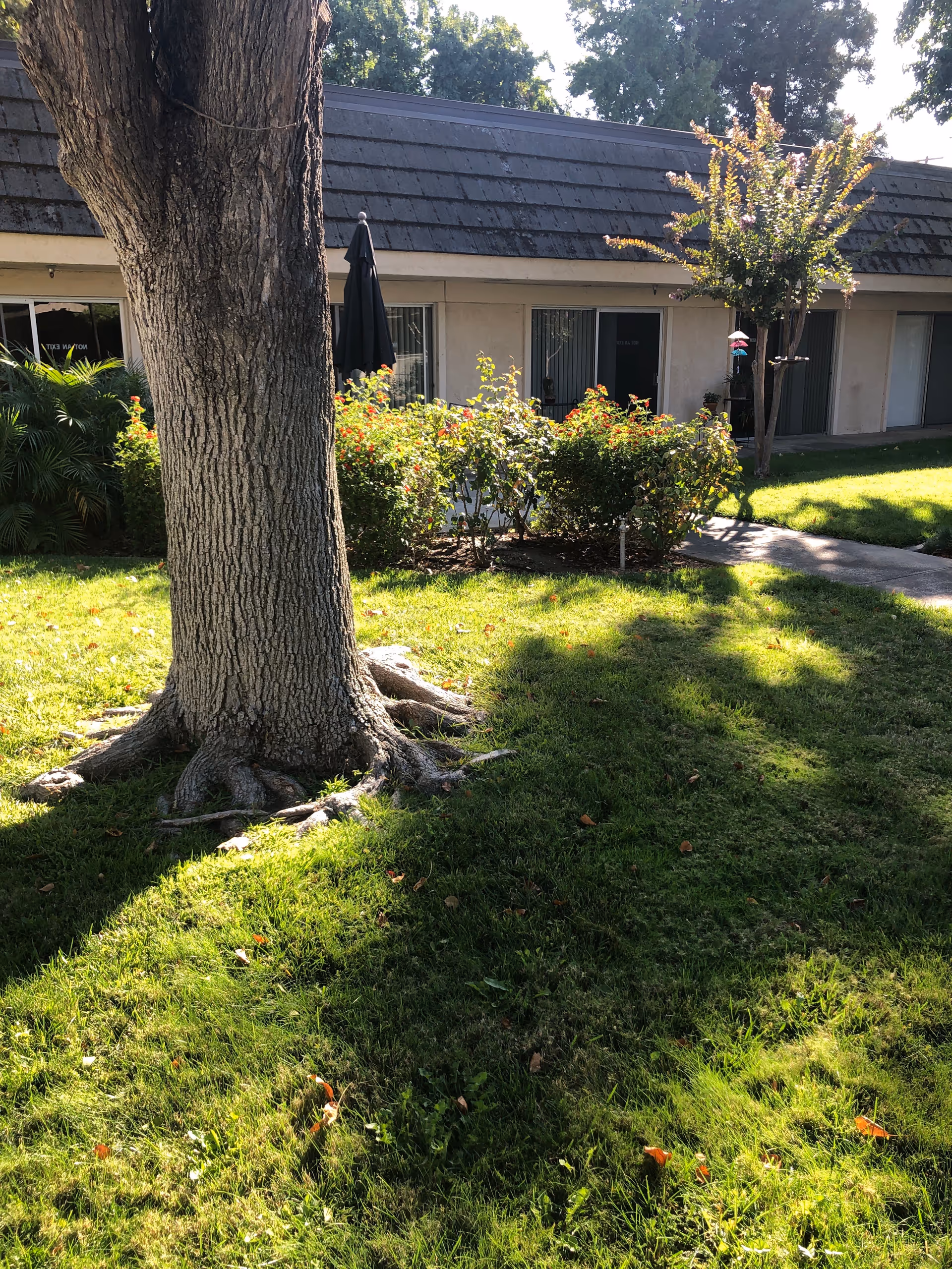 Front exterior of Cypress Assisted Living of Brandel Manor with trees, shrubs, and a walkway.