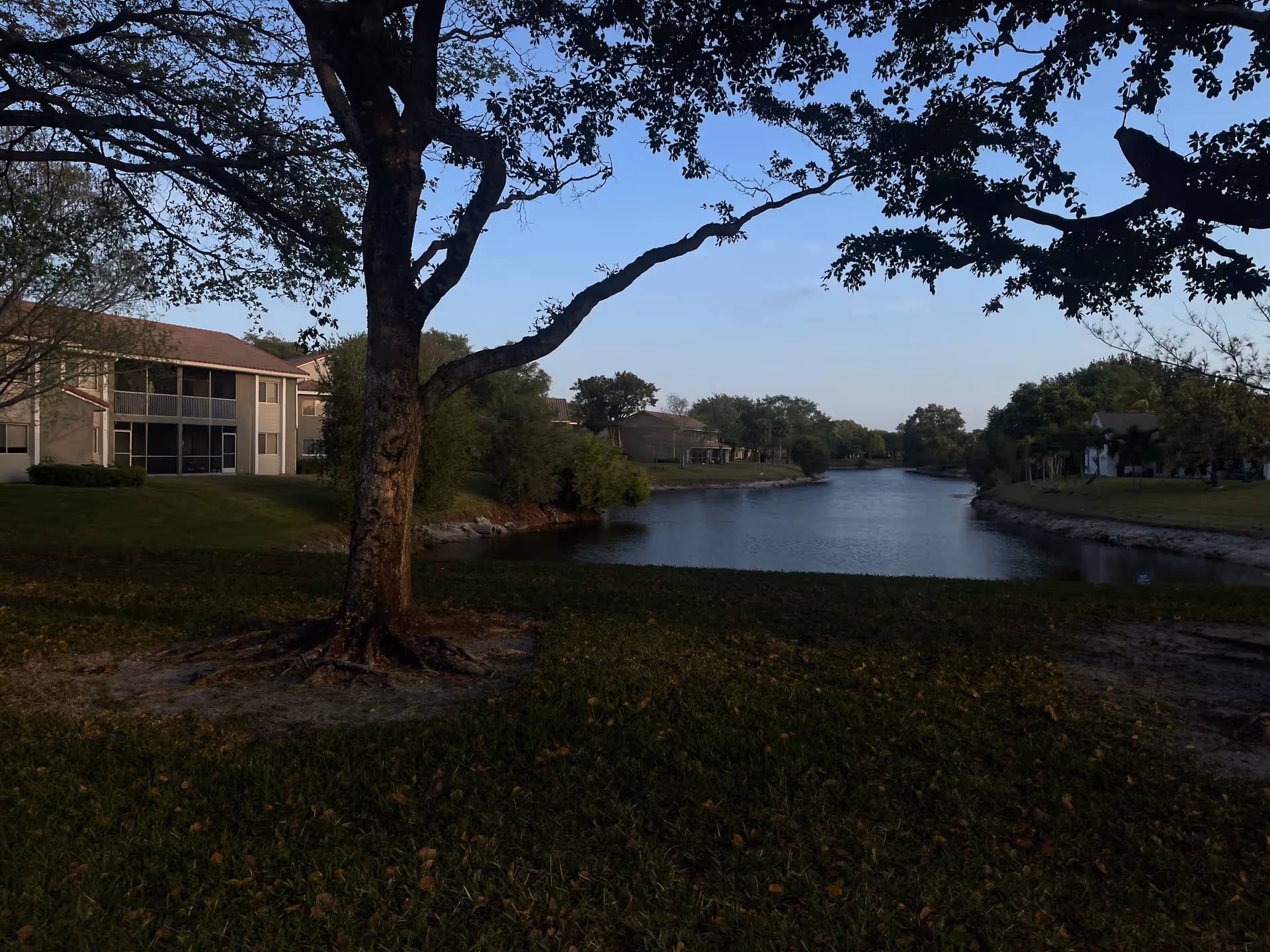 Lakeside view with trees, grassy foreground, and residential buildings along a calm waterway.