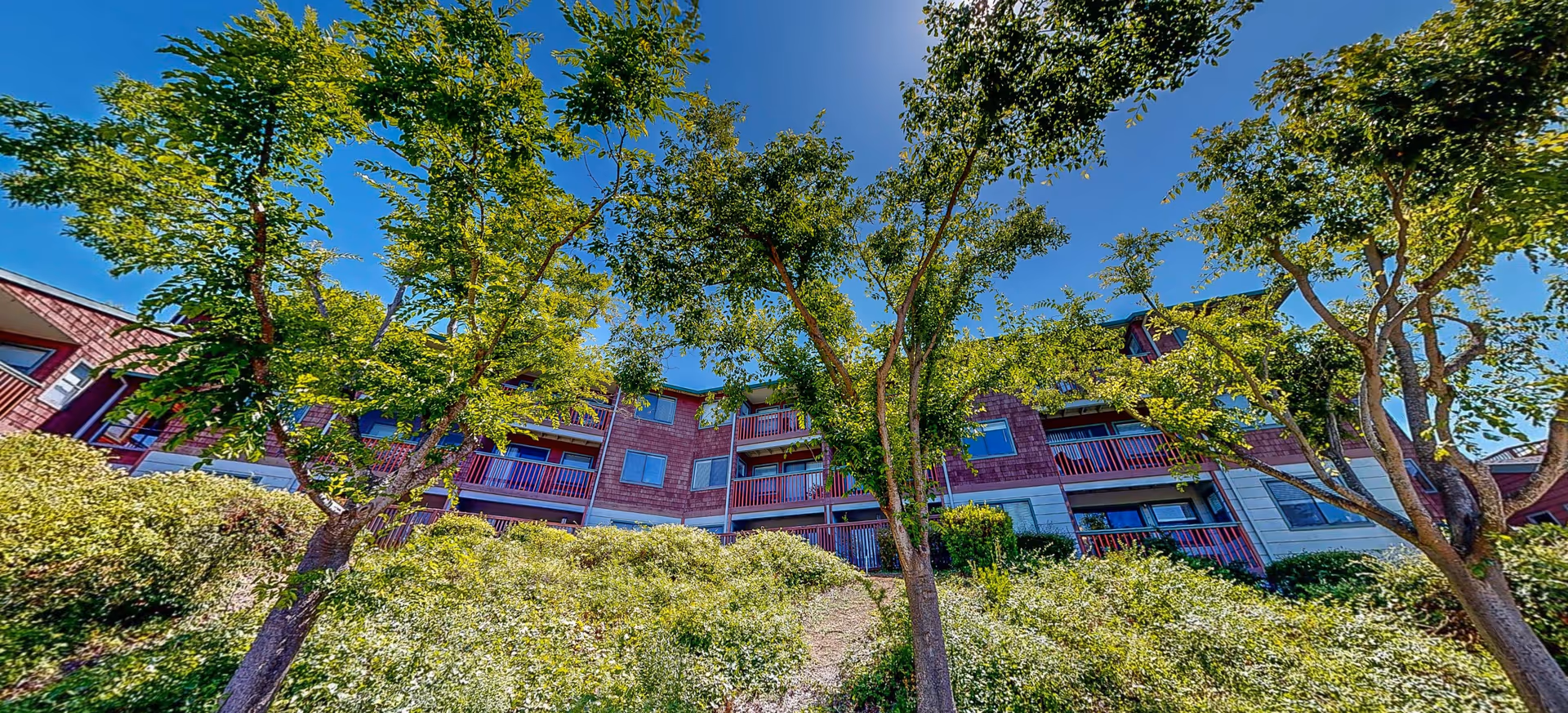 Low-angle exterior view of a multi-story brick senior living building with trees.