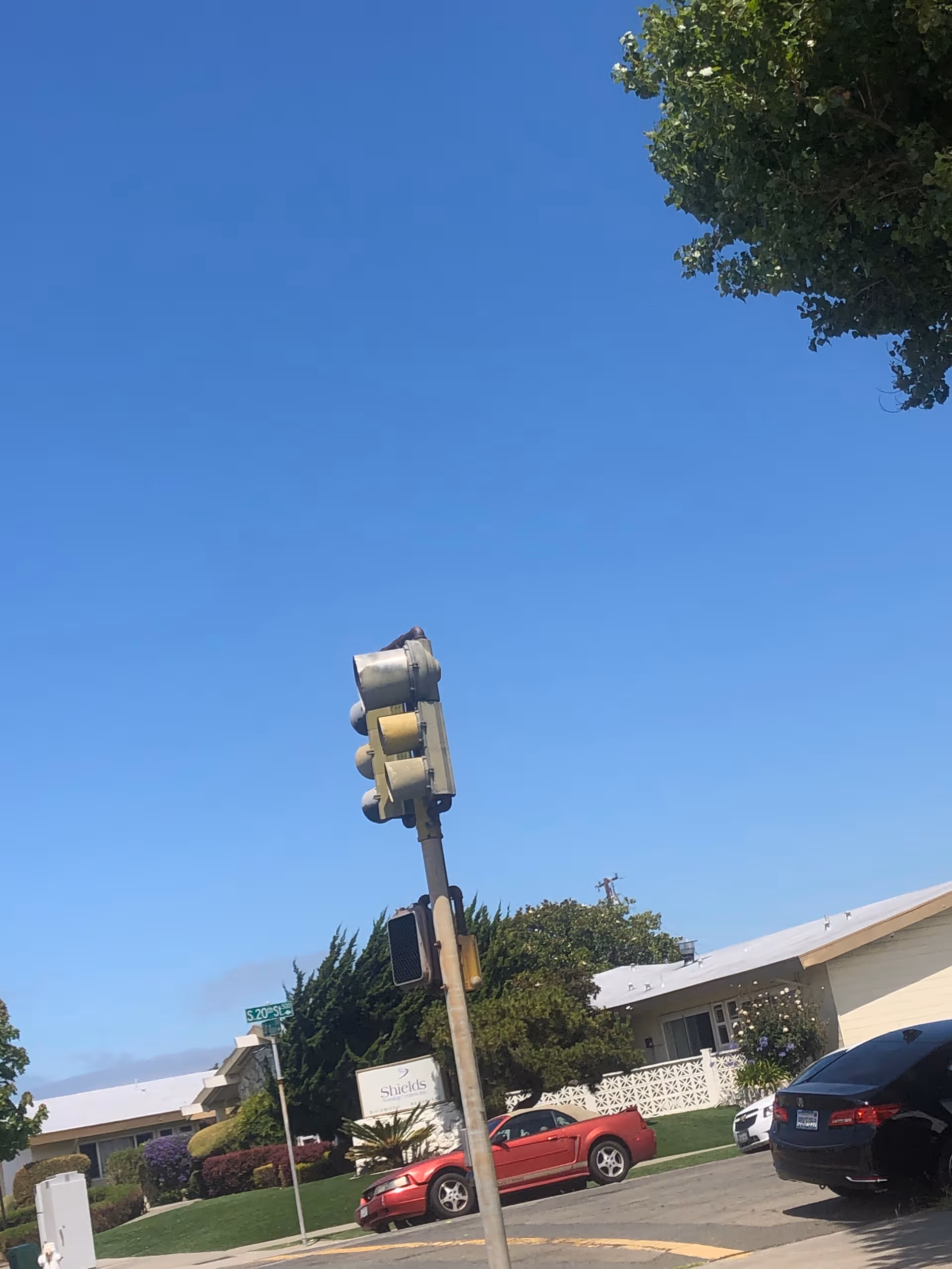 Exterior view of Shields-Richmond Nursing Center with parked cars and blue sky.