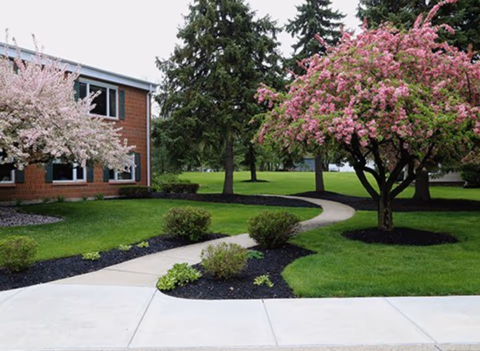 Curved concrete pathway through a well-maintained green lawn with blooming pink and white flowering trees and shrubs, adjacent to a brick building with windows.