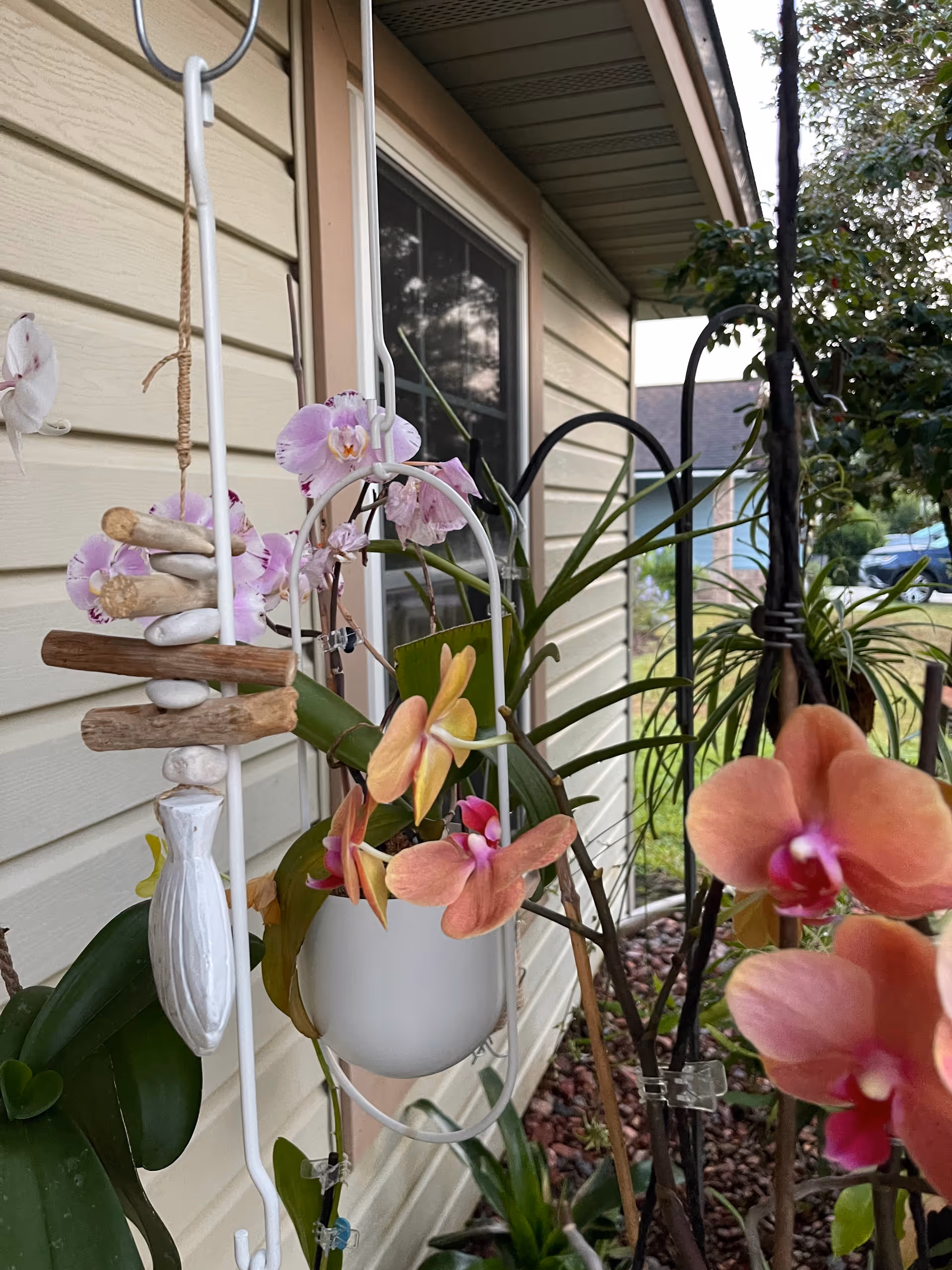 Orchid plants in a white pot hang outside a house near a window.