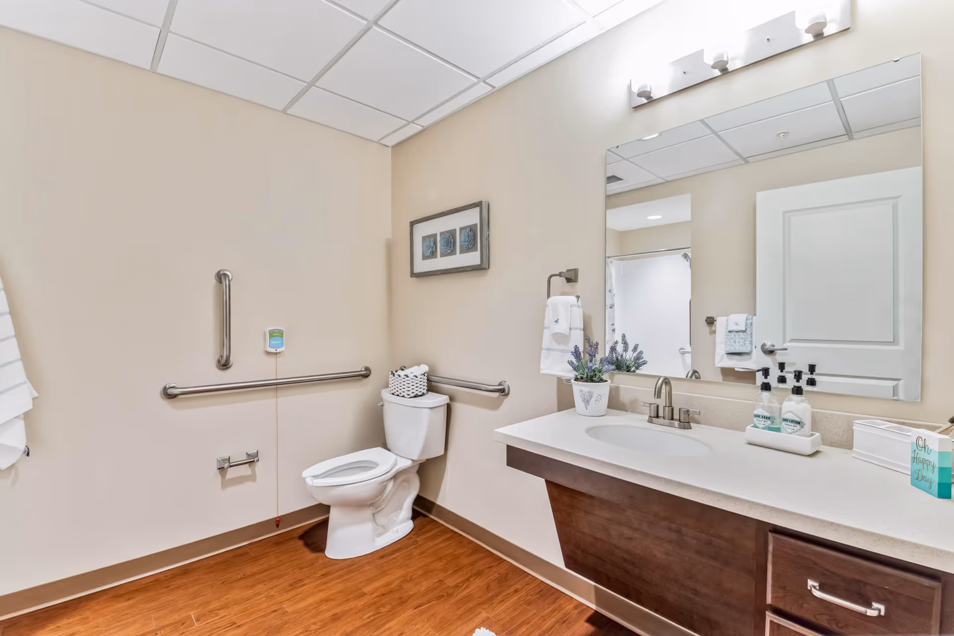 Accessible bathroom with grab bars, toilet, sink, large mirror, and wood-look floor.