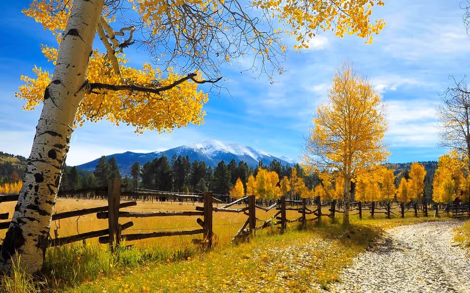 A scenic outdoor landscape featuring a dirt path lined with a rustic wooden fence and vibrant yellow autumn trees. In the background, there are green pine trees and a snow-capped mountain under a partly cloudy blue sky.