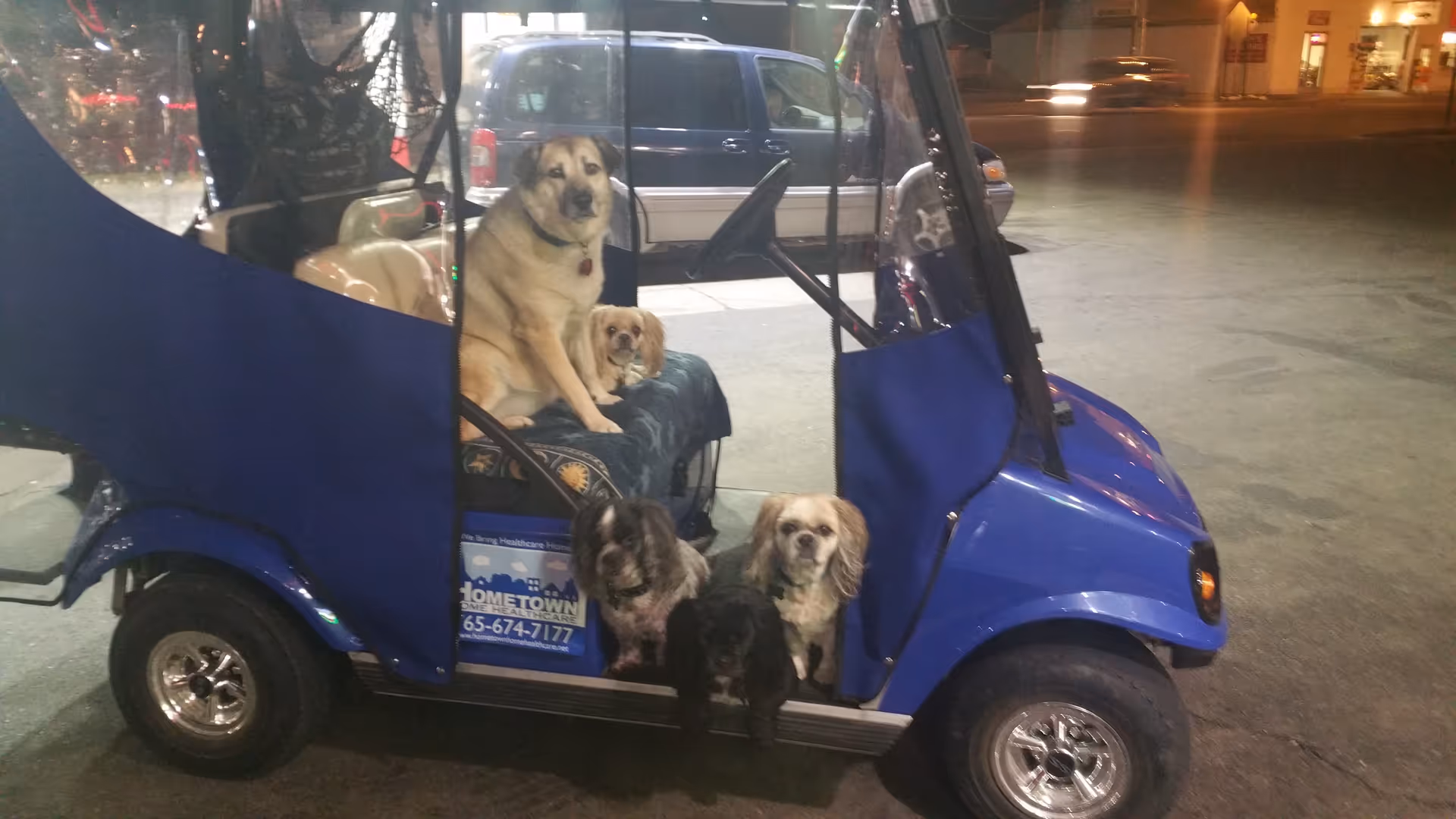Blue golf-cart style vehicle with four dogs inside parked on a dim street at night.