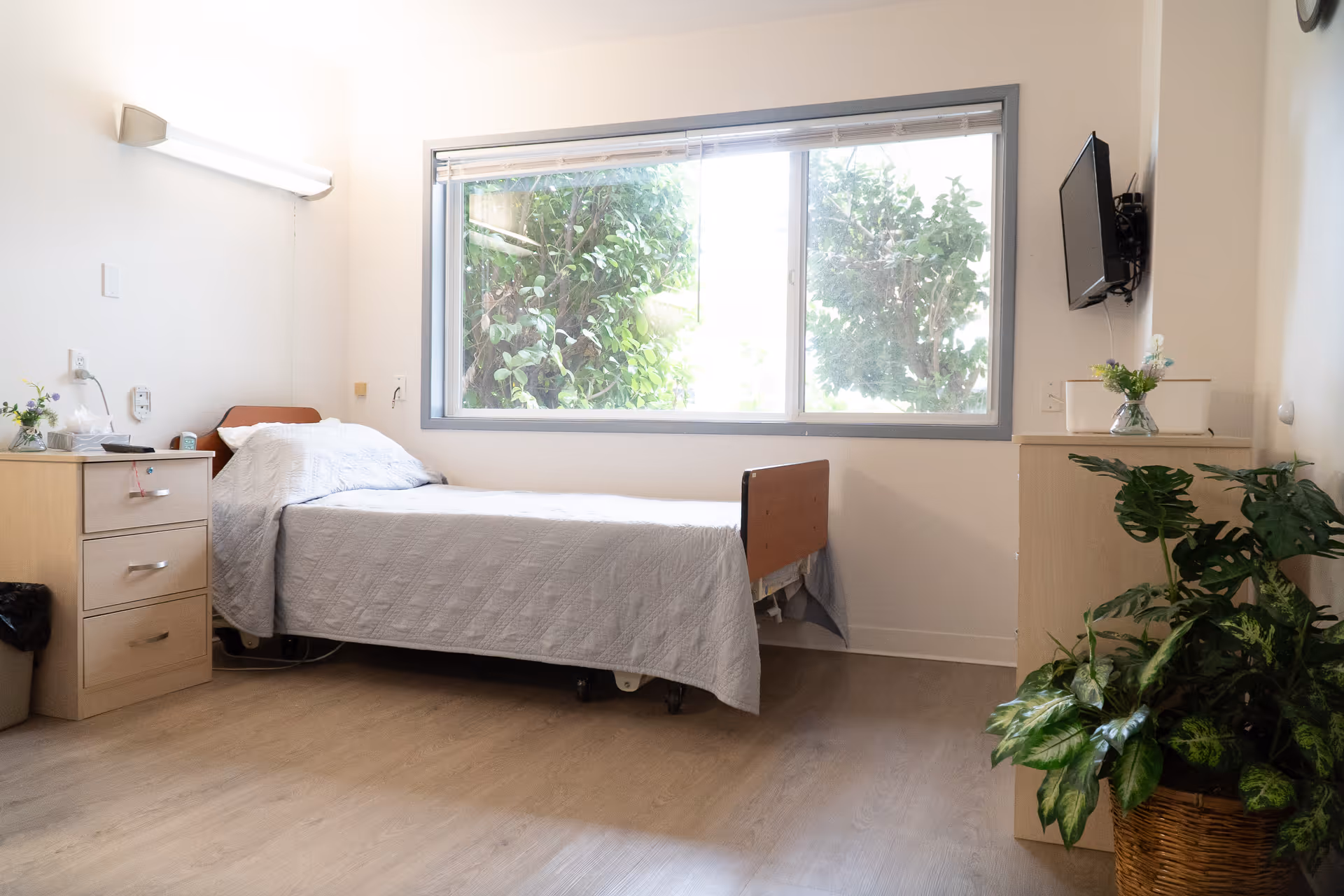 A simple, clean bedroom in a senior living facility with a single bed covered in a white quilt, a wooden nightstand with drawers and a small vase of flowers, a large window showing green foliage outside, a wall-mounted TV, and a large potted plant in the corner.