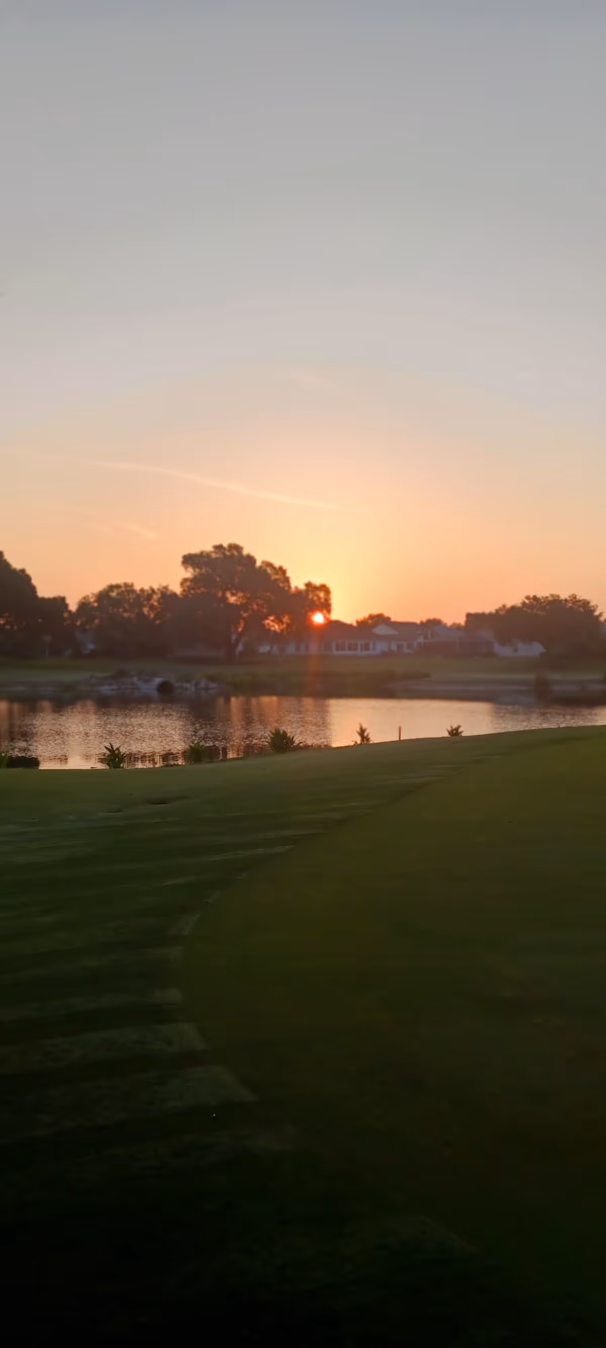 Sunset over a pond with trees, green lawn, and distant building.