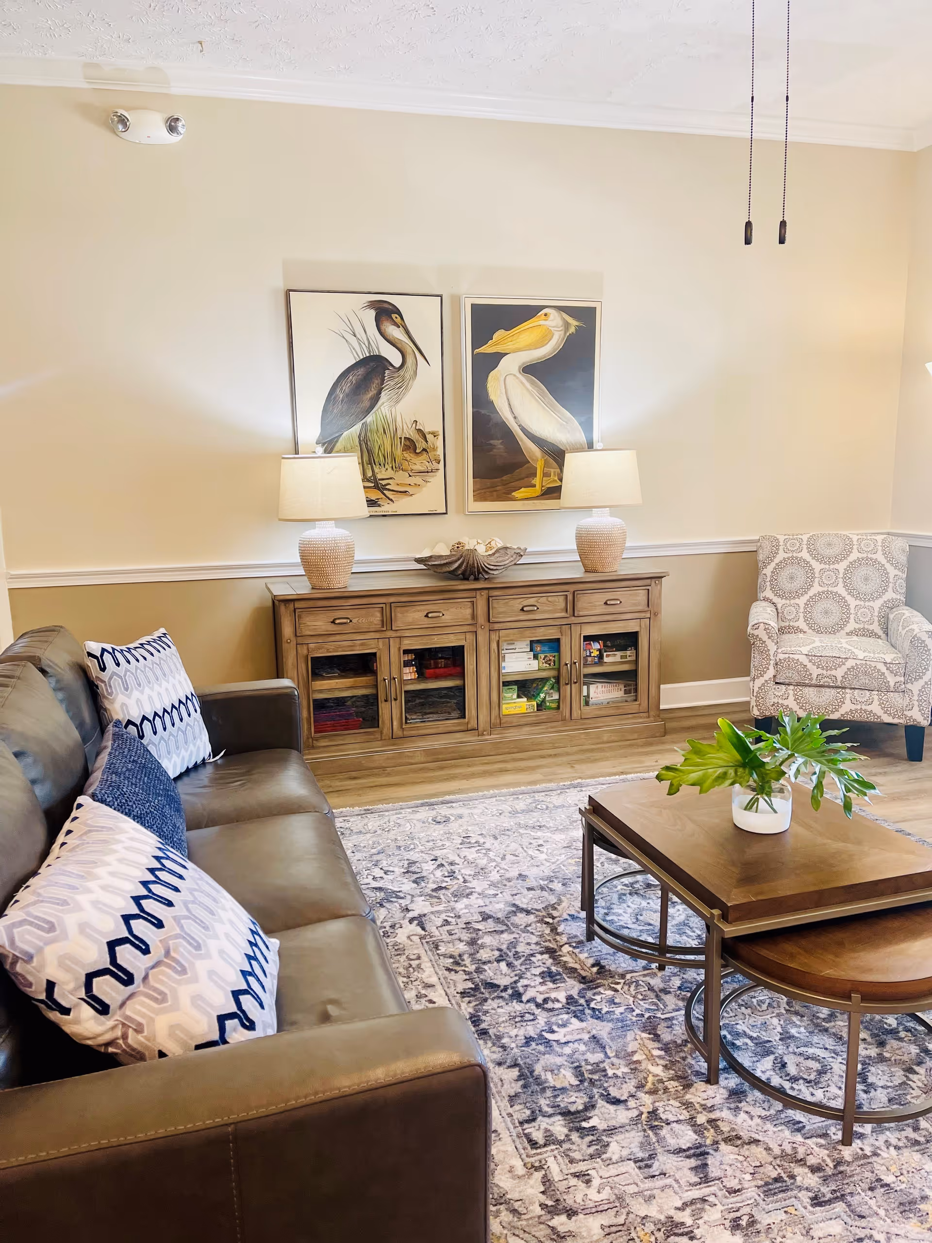A cozy living room with a dark leather sofa adorned with patterned pillows, a wooden coffee table with a green plant in a white vase, a patterned armchair, and a wooden cabinet with glass doors holding board games. Two framed bird illustrations hang on the beige wall above the cabinet, each accompanied by a table lamp.