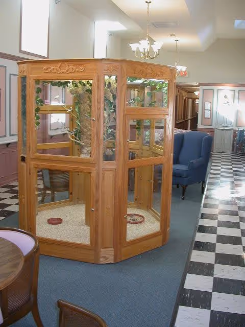 Interior hallway of a senior living facility with black and white checkered flooring, a wooden hexagonal enclosure housing a small tree, blue upholstered armchairs, and soft lighting from ceiling fixtures.