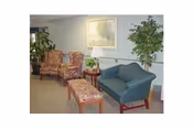 A small lounge area with patterned chair, blue sofa, coffee tables, lamp, and indoor plants.