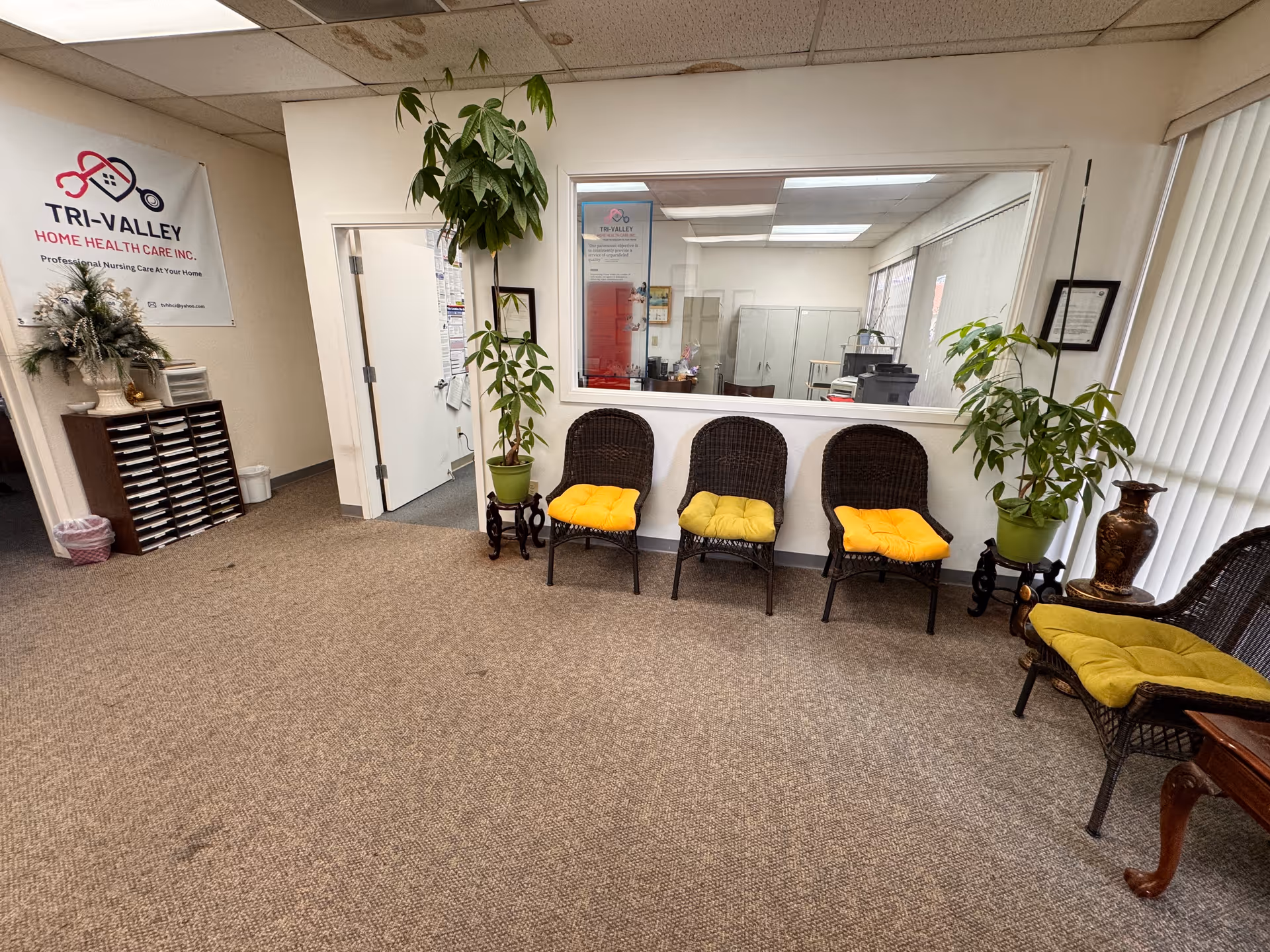 Office waiting area with wicker chairs, yellow cushions, potted plants, and a reception window.