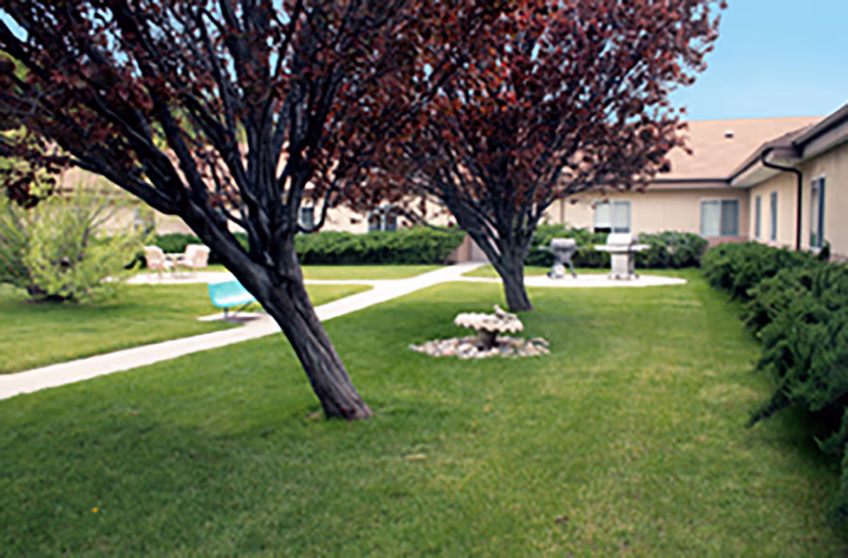 A grassy courtyard area with two trees having dark red leaves, a concrete pathway, a small flower bed with white flowers, bushes along the building, and outdoor seating including chairs and a barbecue grill near a beige building under a clear blue sky.
