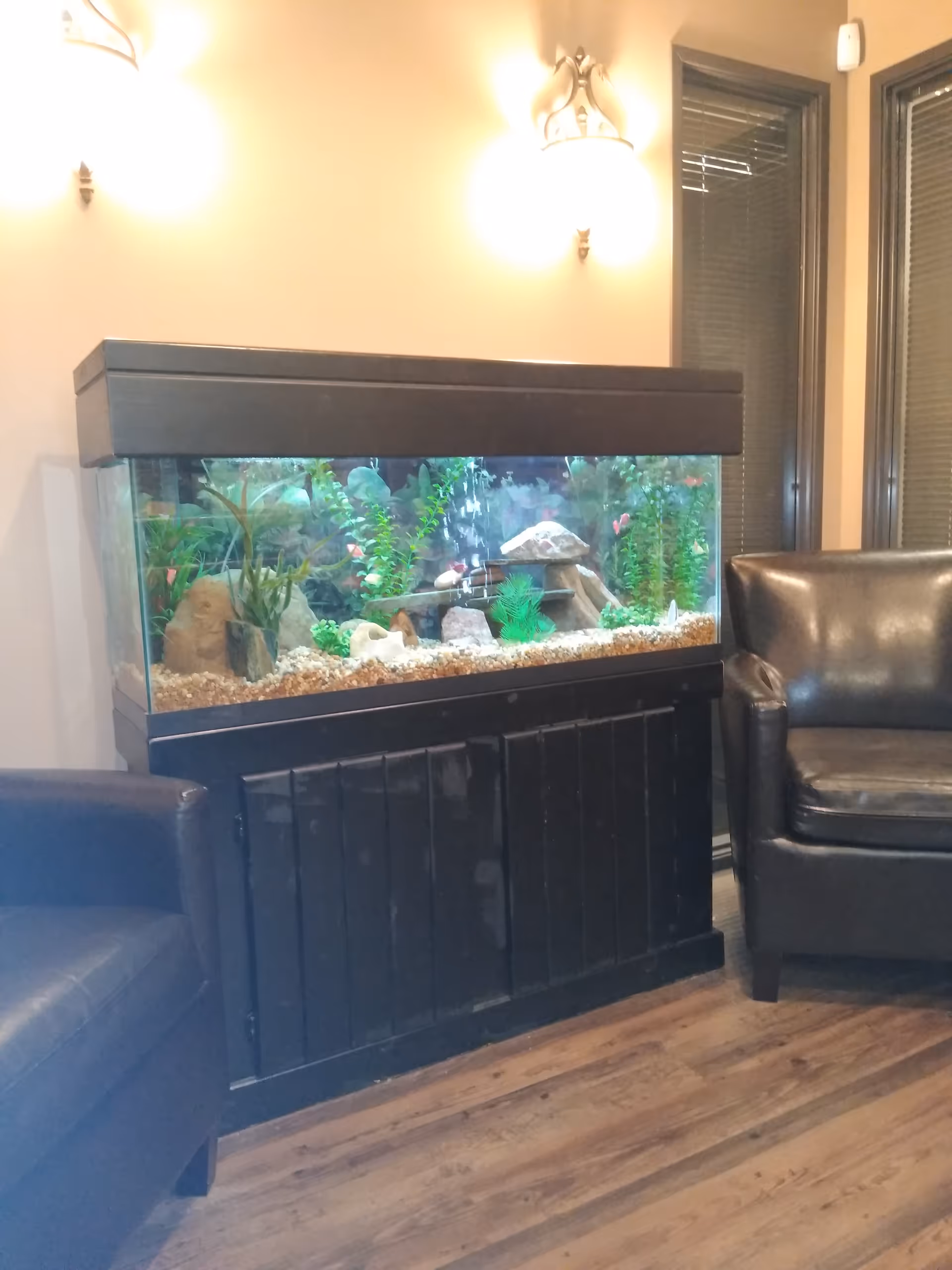 A large aquarium sits on a dark stand beside leather lounge chairs in a cozy room.