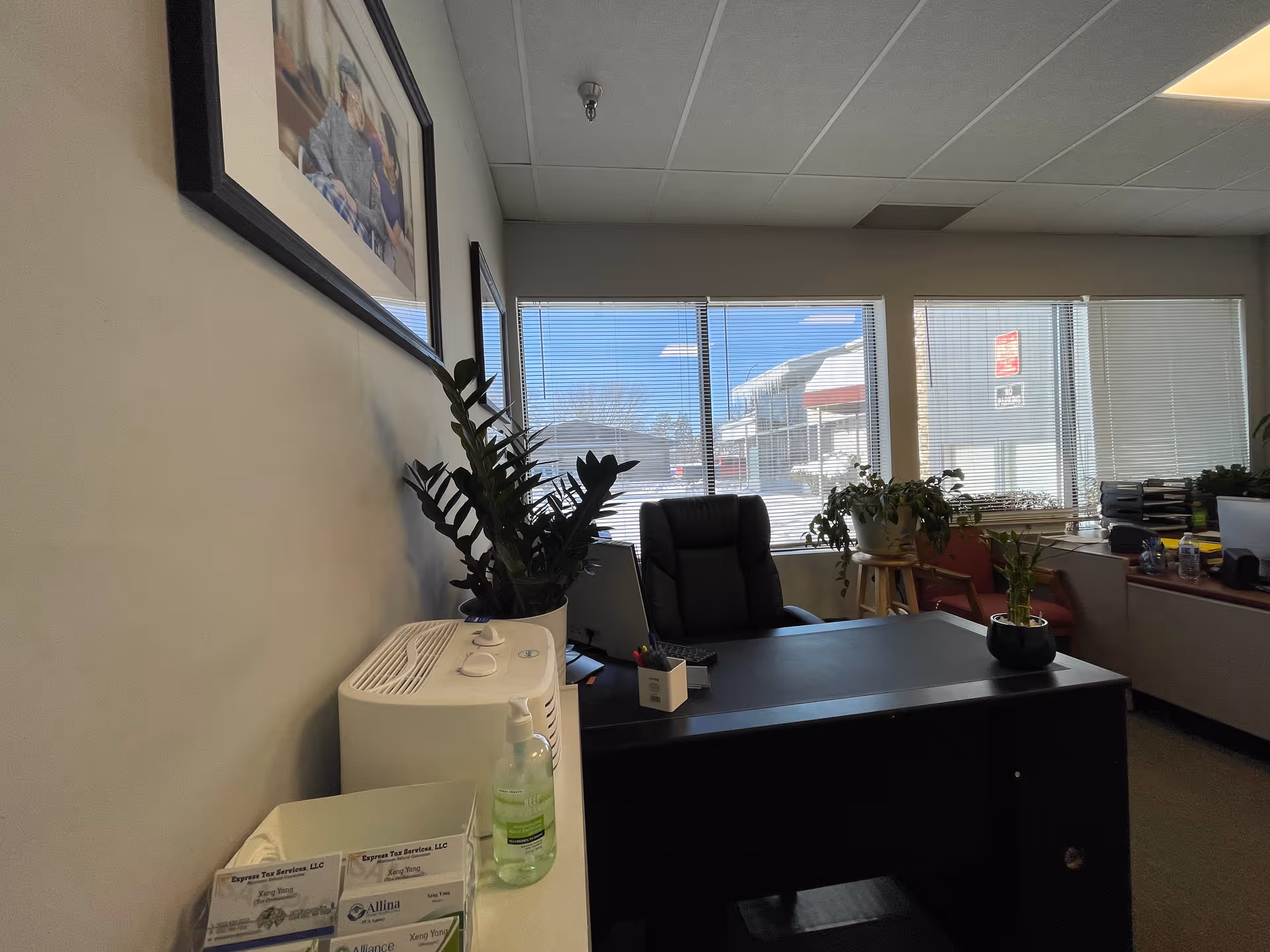 Office reception area with desk, chairs, plants, windows, and framed wall art.