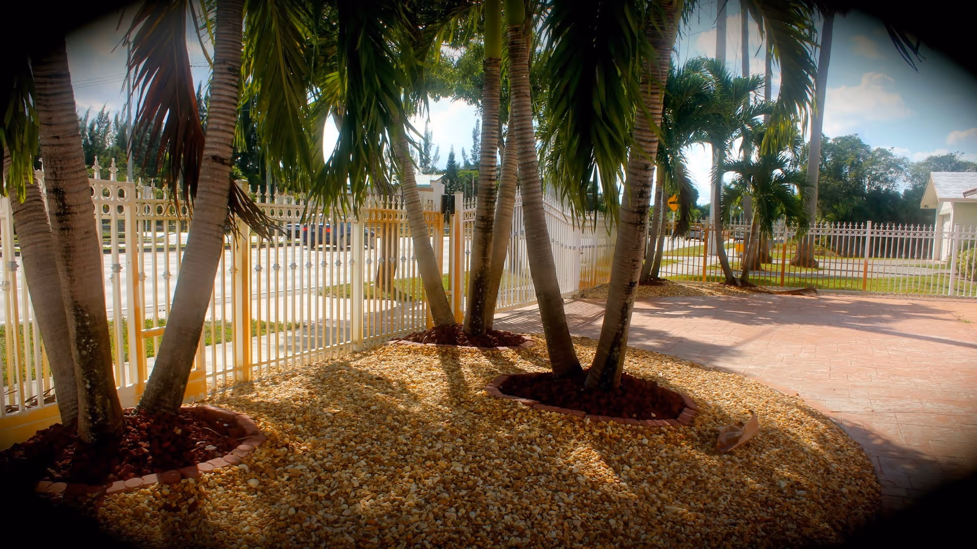 Outdoor area with several palm trees planted in circular beds filled with red mulch, surrounded by a ground cover of small beige rocks. A white metal fence encloses the area, and a paved walkway or driveway is visible to the right. The sky is partly cloudy with some blue visible.