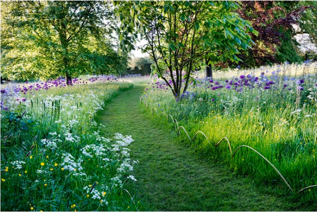 Grassy garden path flanked by colorful flowers and trees.