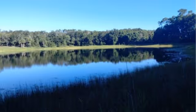 Tranquil lake mirrors surrounding trees under a clear blue sky.