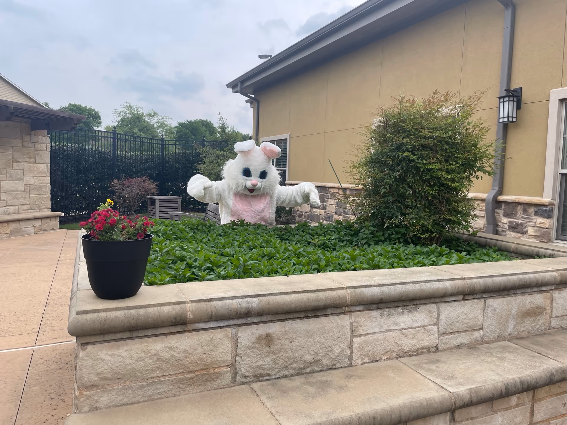 Outdoor courtyard with a white bunny statue in a raised planter beside a beige building.