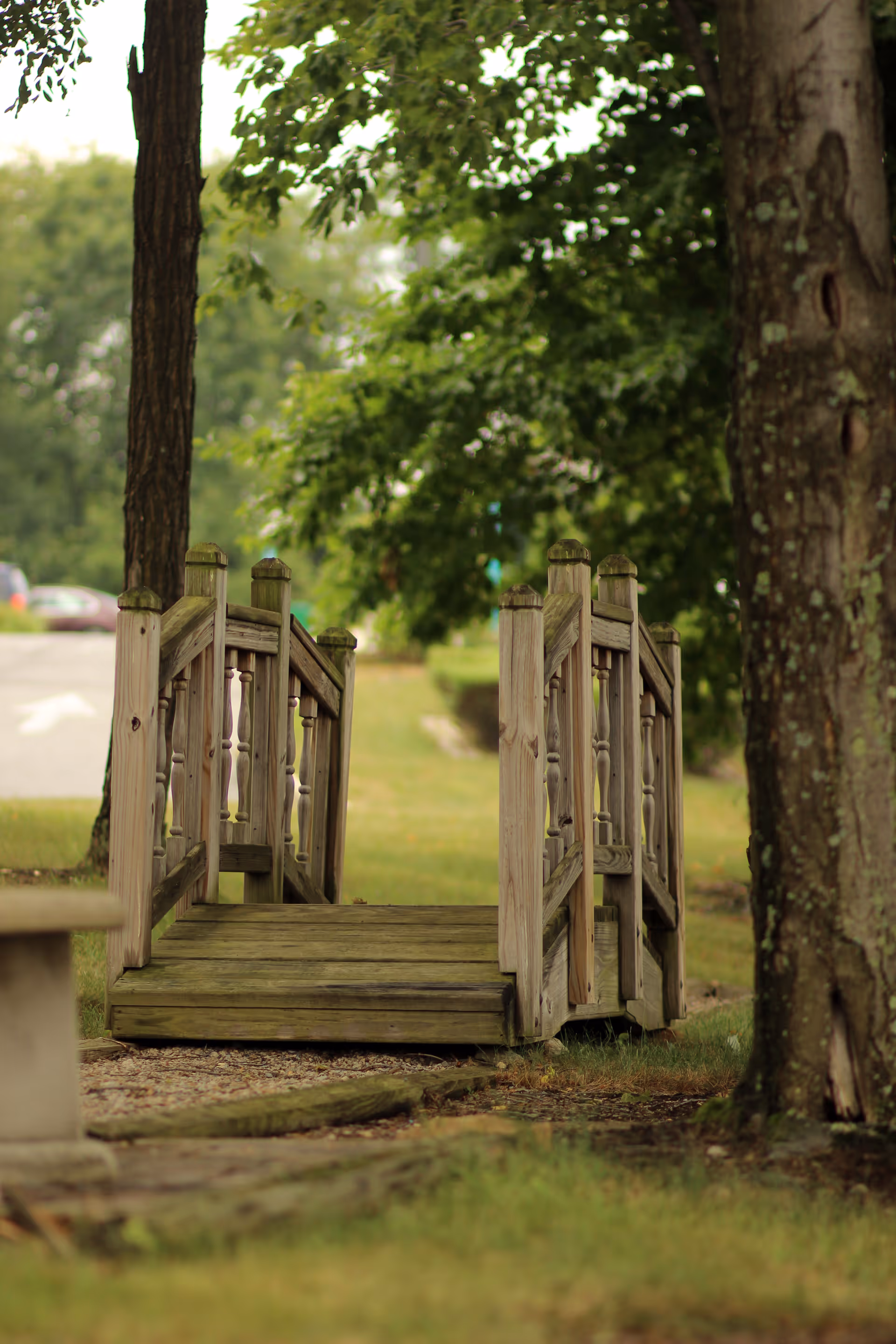 Wooden footbridge over a grassy path framed by trees in a park.