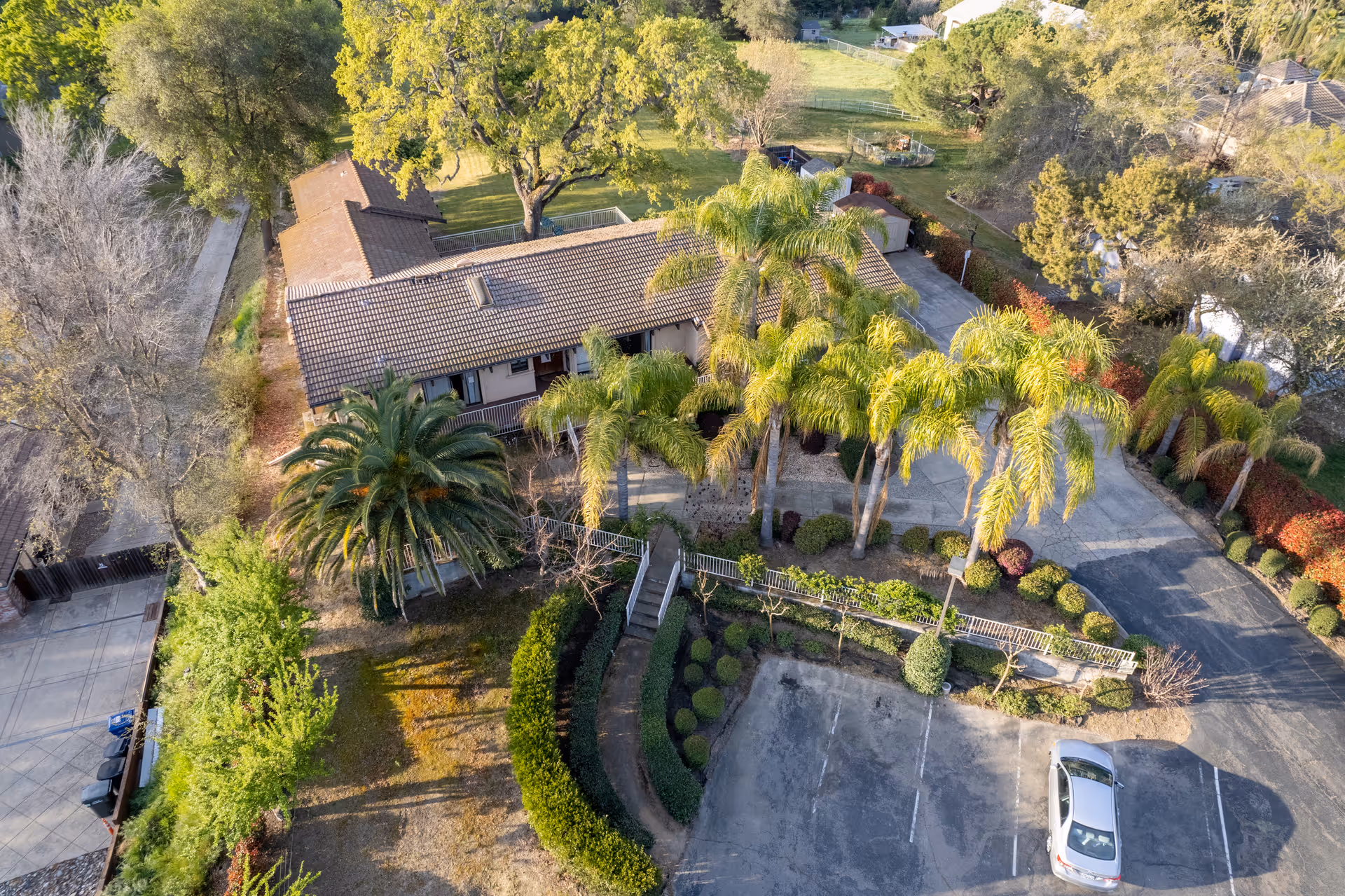 Aerial view of a senior living facility with palm trees and a parking lot.