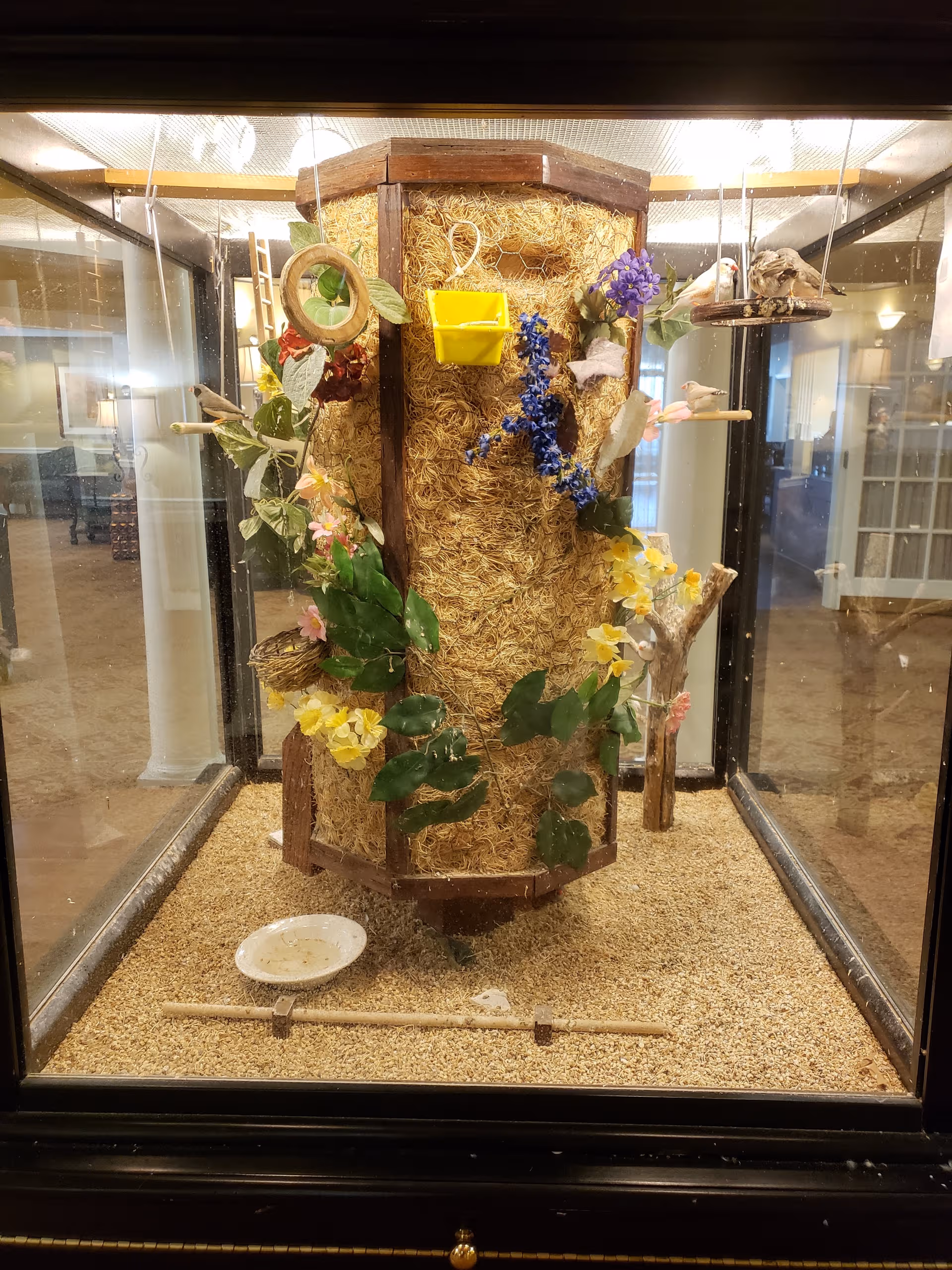 A straw-covered bird habitat display inside a glass enclosure with plants and toys.