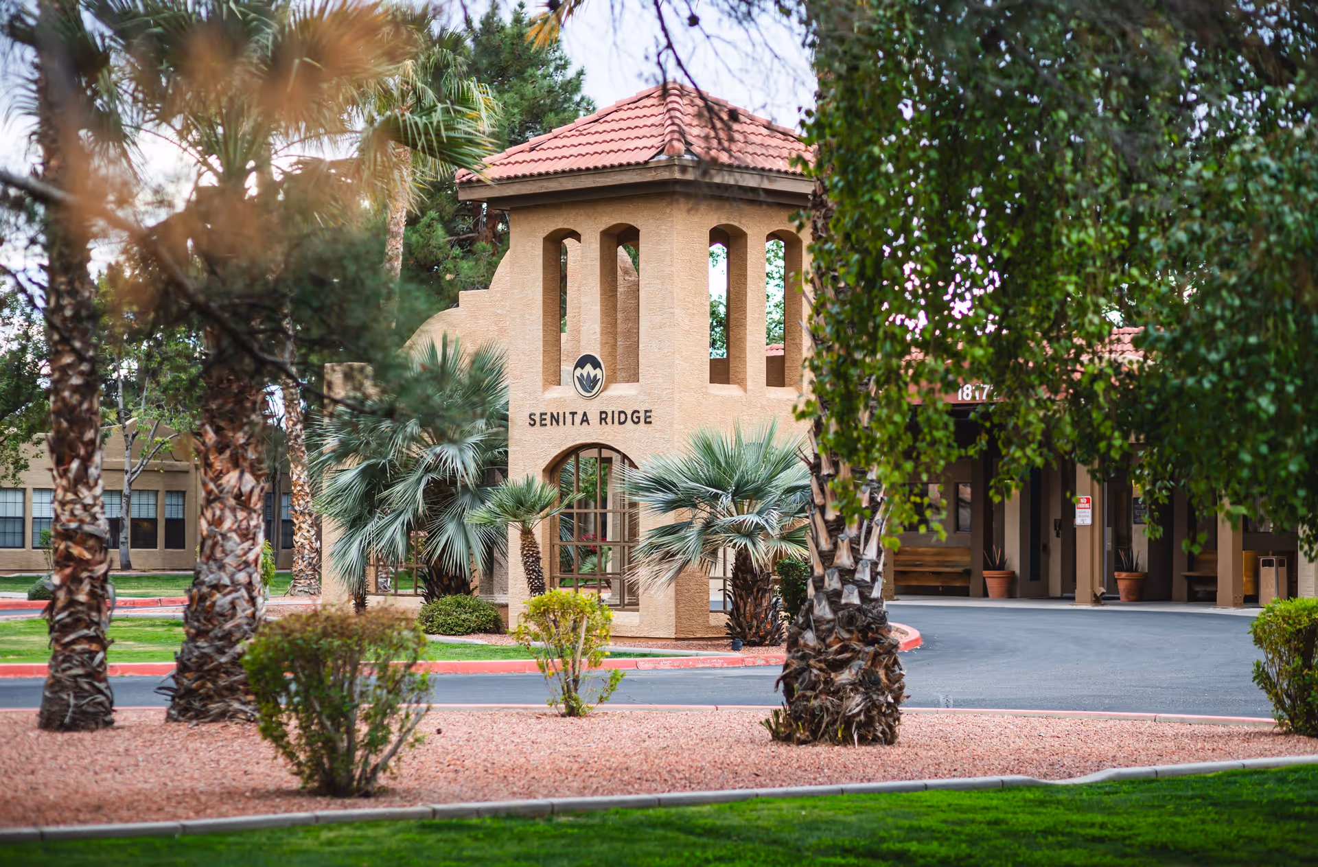 Exterior view of Senita Ridge facility with a beige stucco tower featuring arched windows and a red tile roof, surrounded by palm trees and landscaping with green grass and bushes.