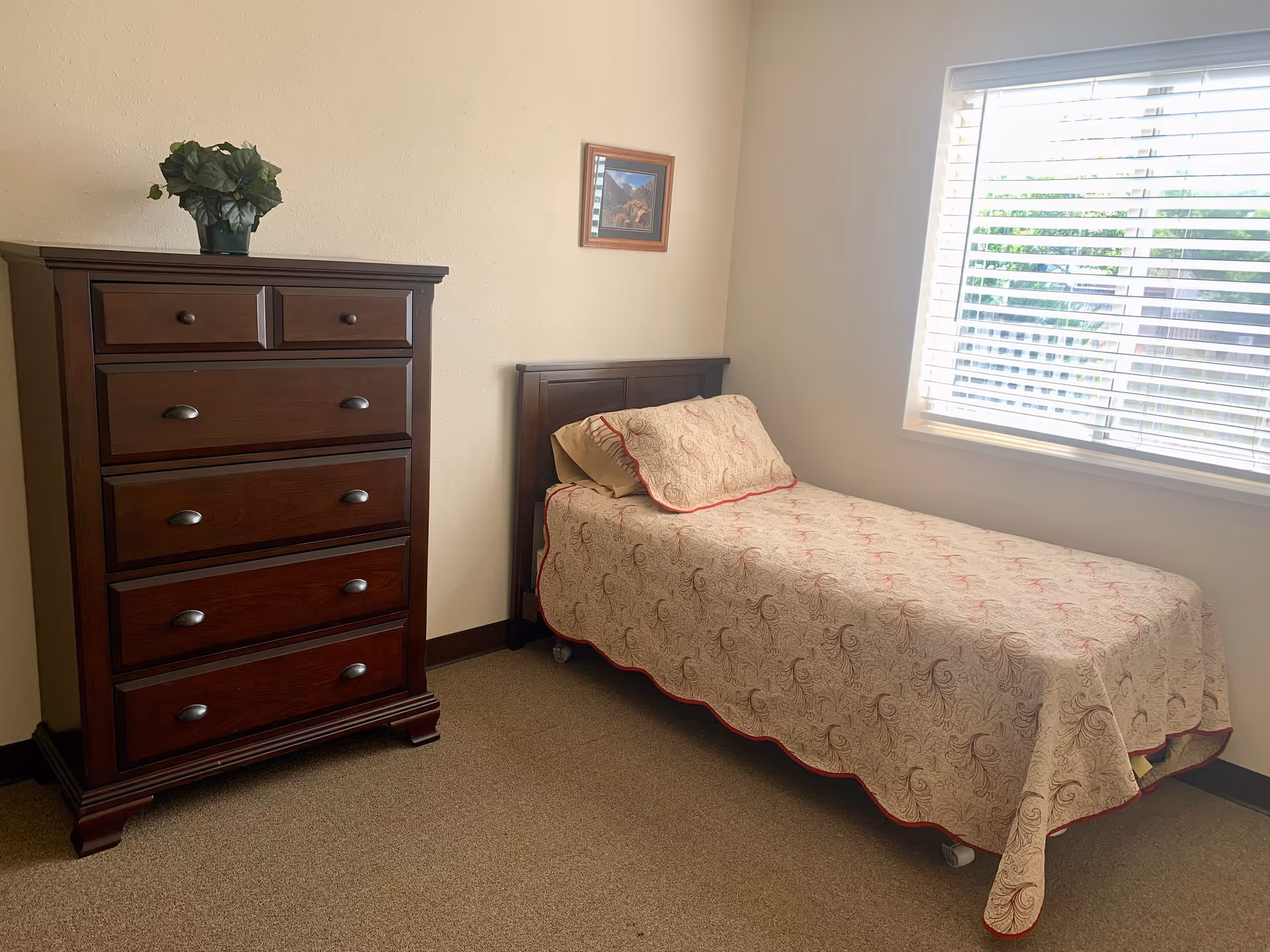 A tidy single bedroom with a bed, dresser, plant, and window blinds.