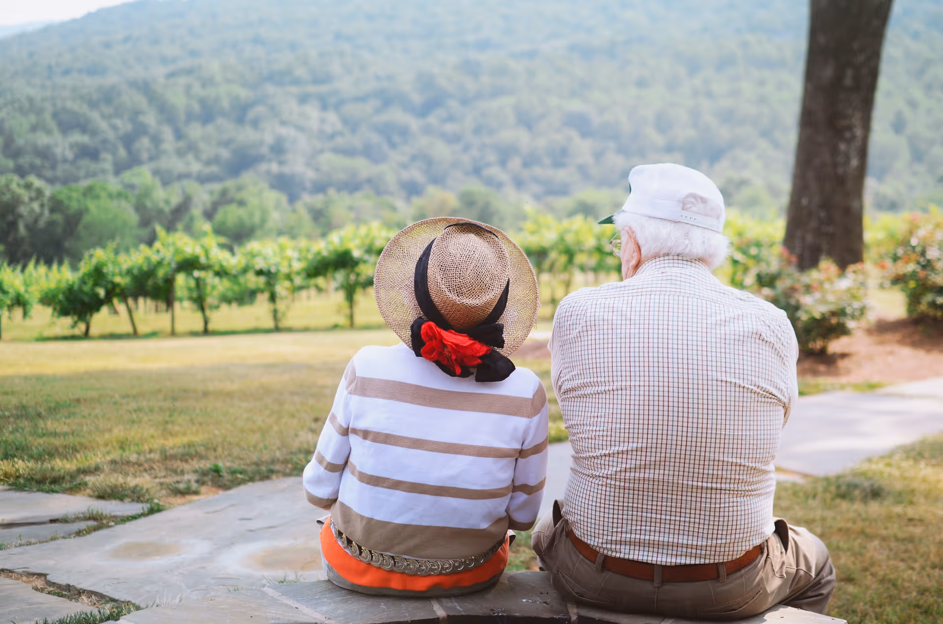Two elderly people sit on a stone bench outdoors overlooking a vineyard and hills.