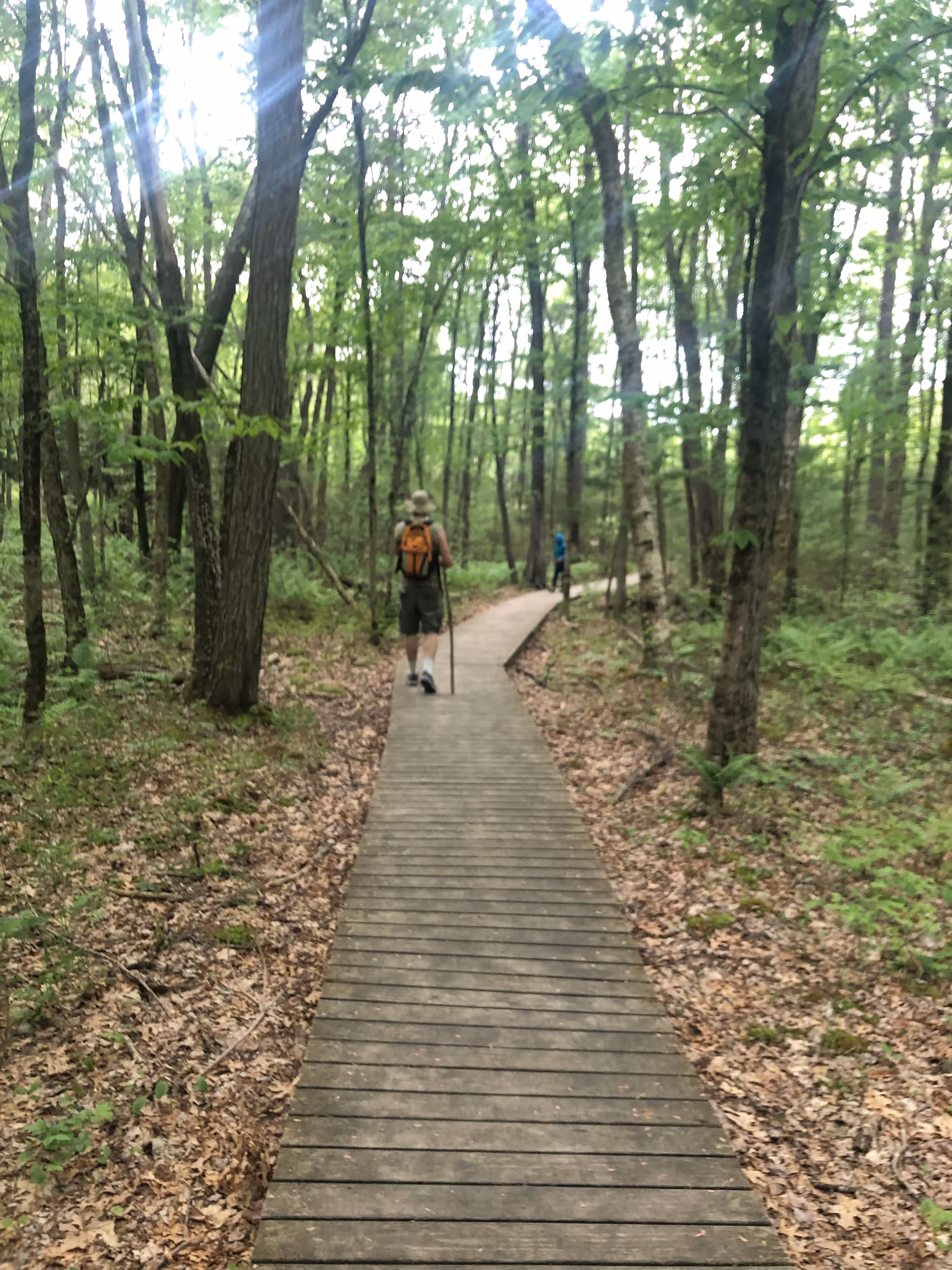 Two hikers walk along a wooden boardwalk through a green forest.